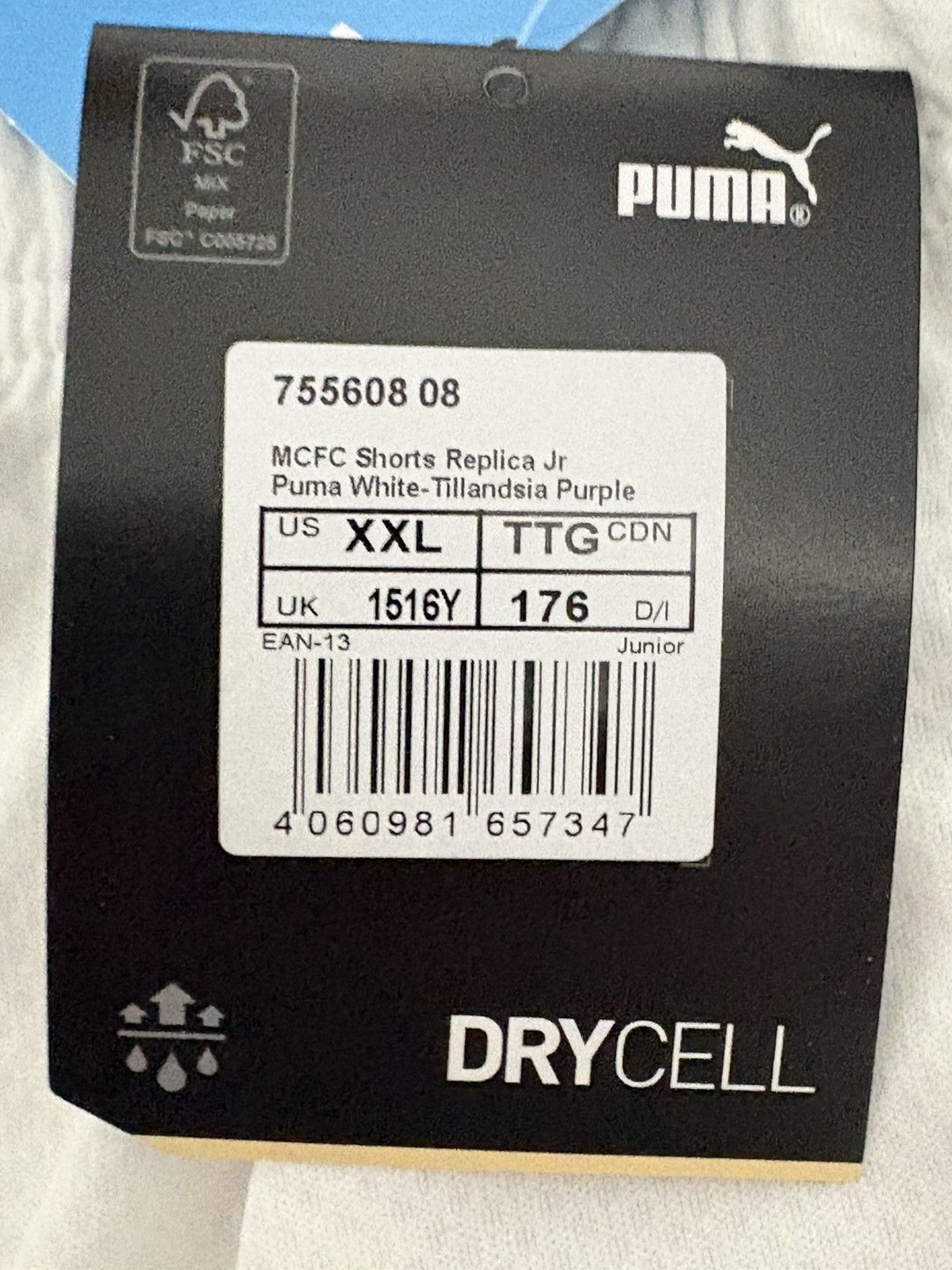 Puma Puma Manchester City Shorts BNWT White 15–16Y (176cm) Size US 28 / EU 44 - 7 Thumbnail