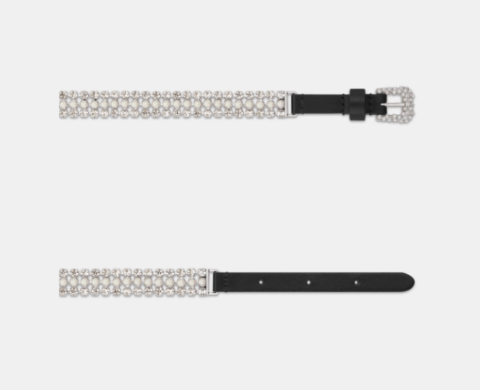 Dior o1w1db10525 Size : OS / B0573P Sparkle Belt in Black/Silver Size ONE SIZE - 3 Thumbnail