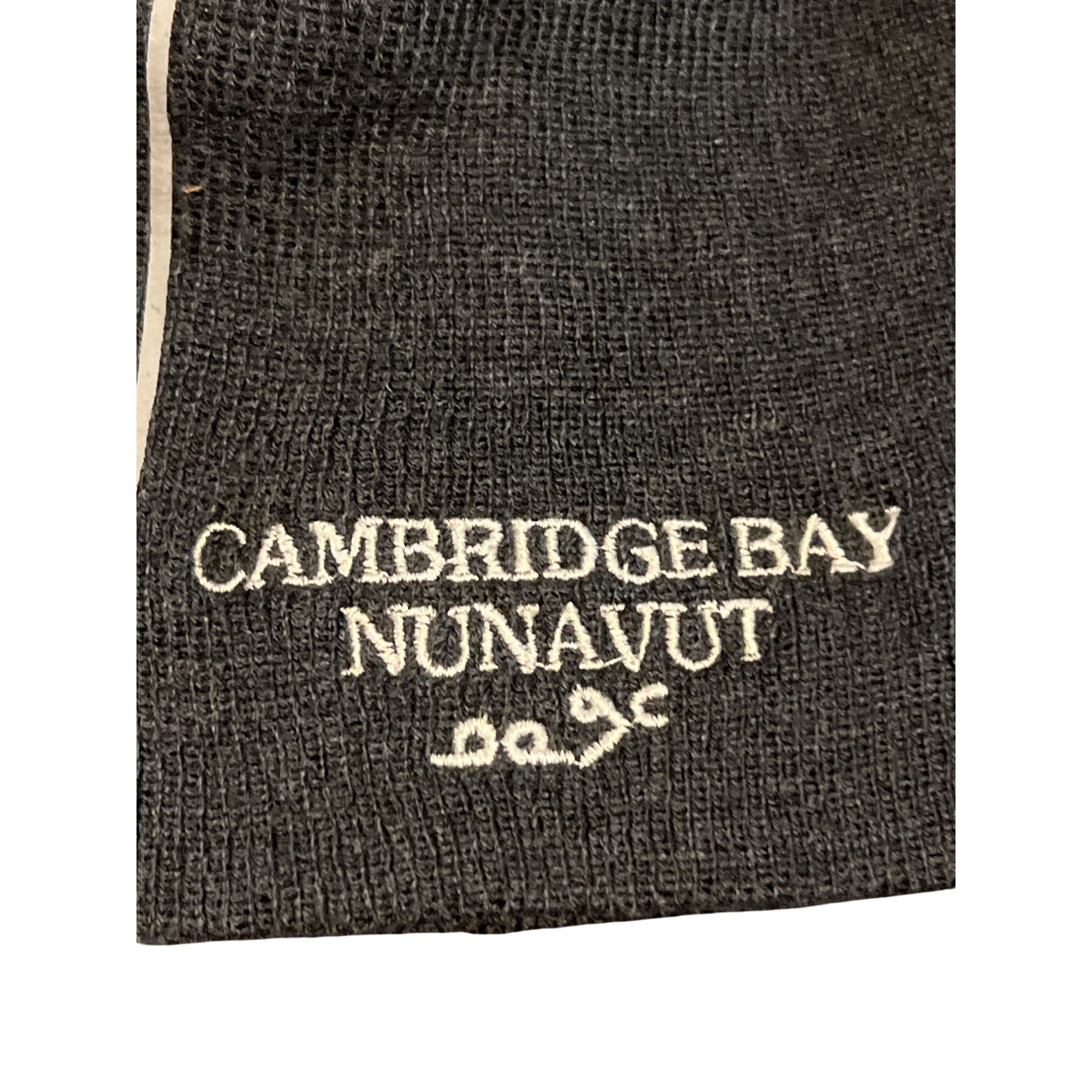 Other Pedigree Toboggan Beanie Cambridge Bay Nunavut Embroidery Gr Size ONE SIZE - 2 Thumbnail