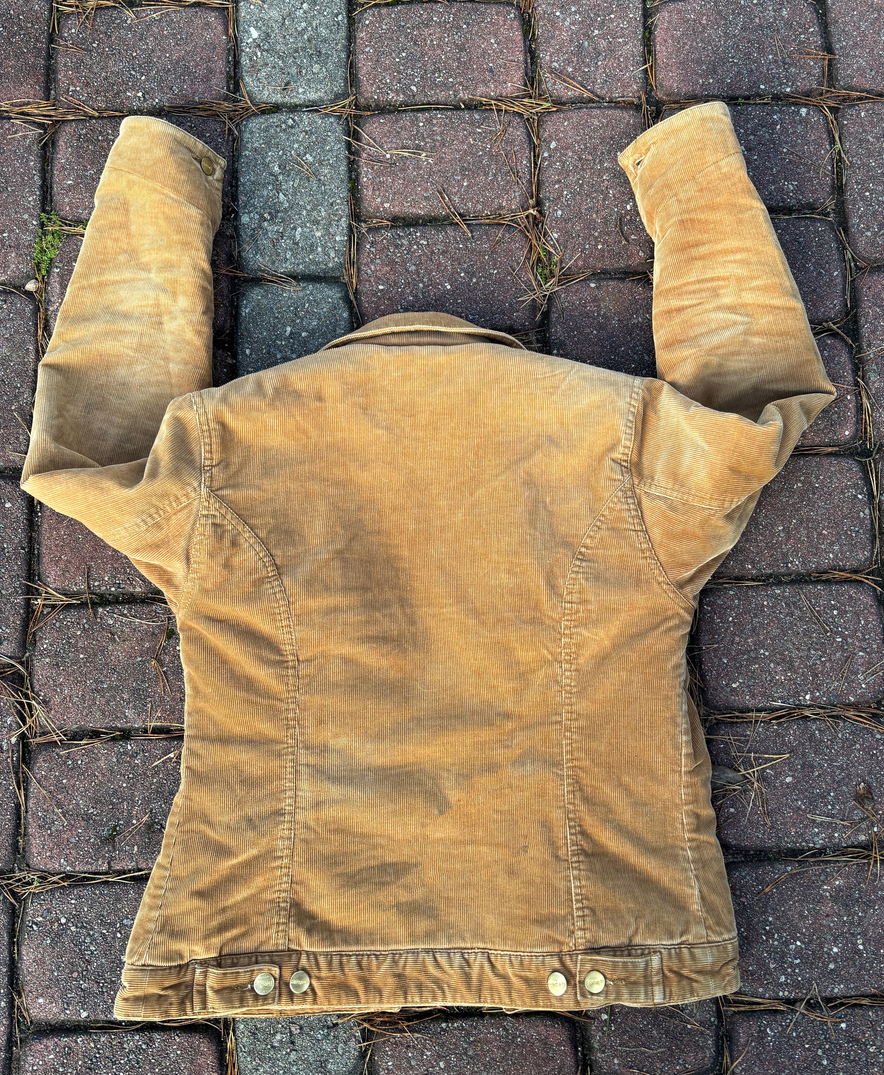 Joe freshgoods sunset Sherpa