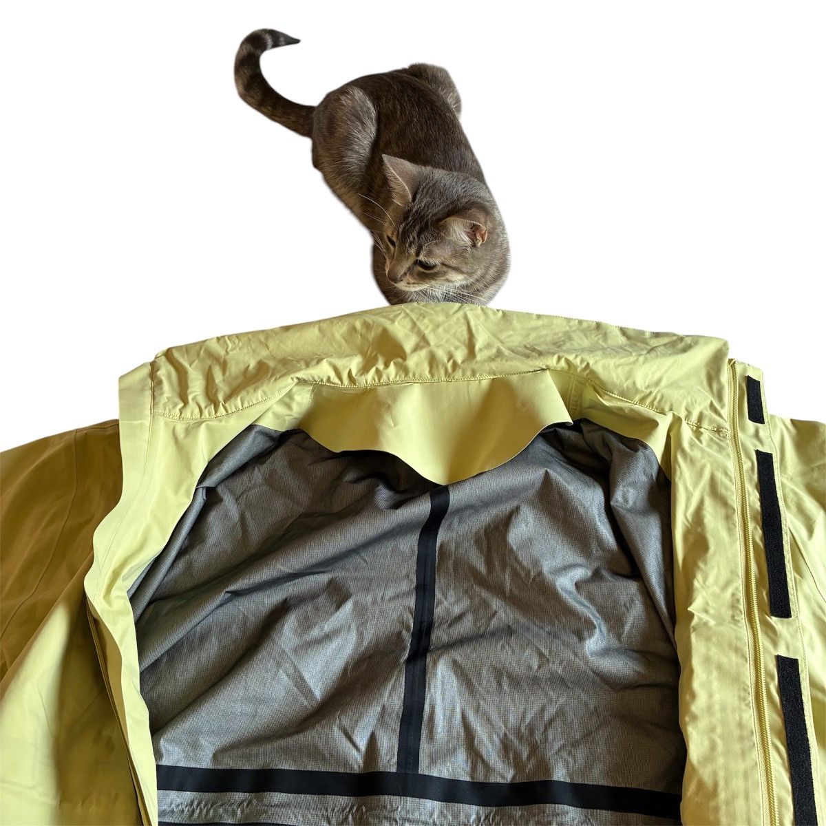 Adidas × Fear of God EXTREMELY rare Adidas x Fear of God Athletics SAMPLE Parka Size US XL / EU 56 / 4 - 6 Thumbnail