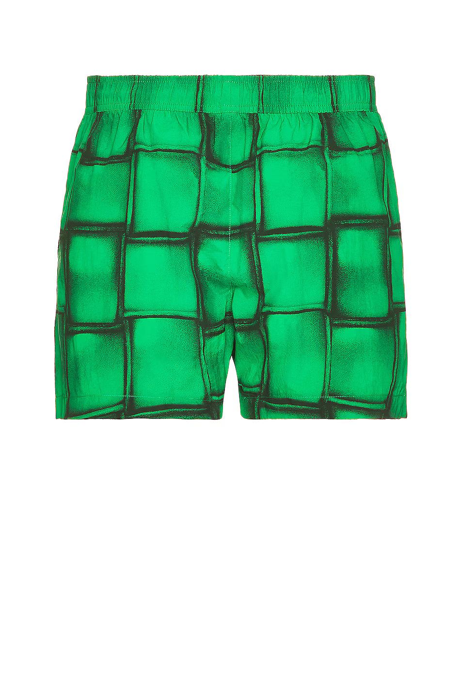 Bottega Veneta o1w1db10724 Swim Shorts in Parakeet & Black Size US 32 / EU 48 - 2 Thumbnail