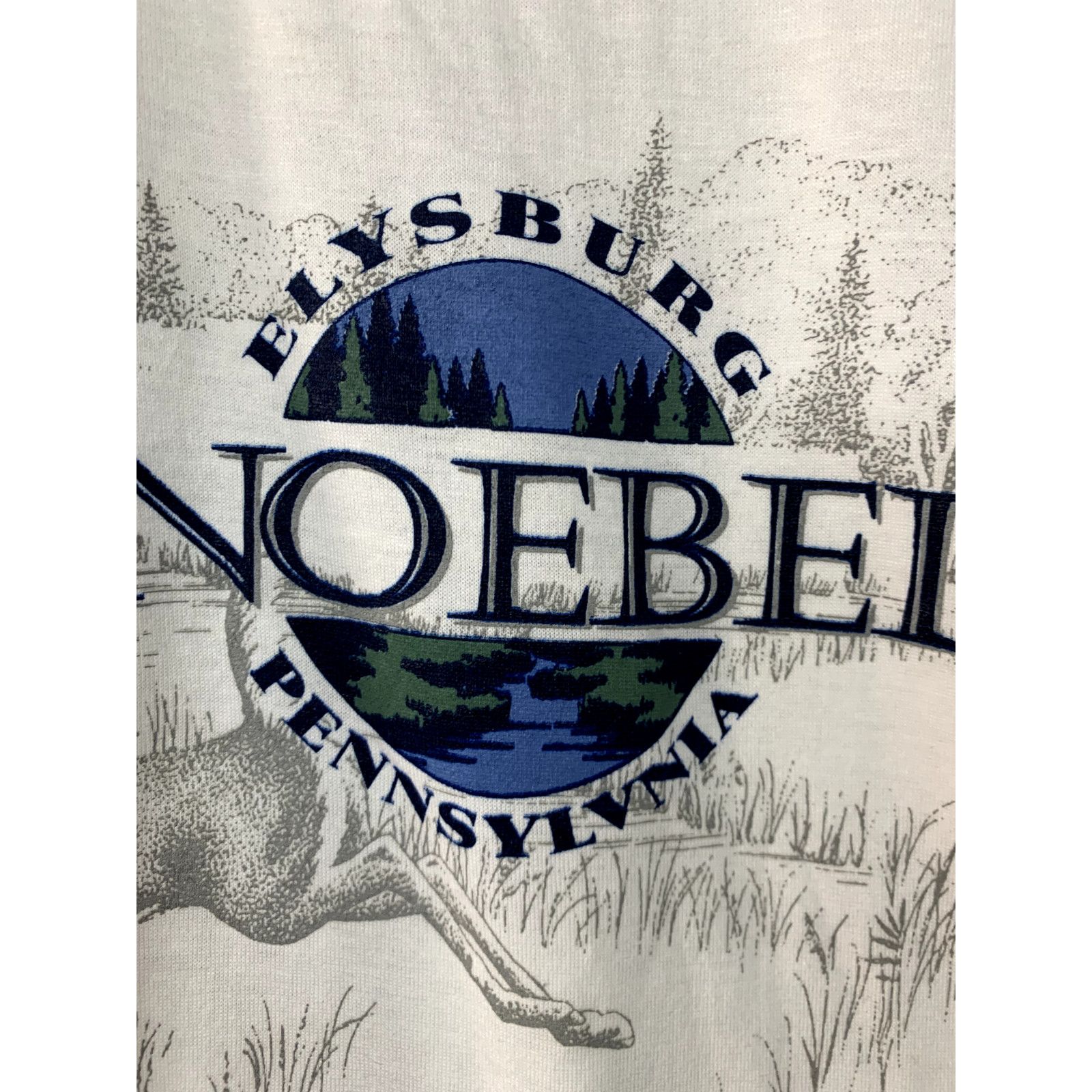 Jerzees Pennsylvania Shirt Elysburg Knoebels PA T-Shirt 1995 L Size US L / EU 52-54 / 3 - 4 Thumbnail