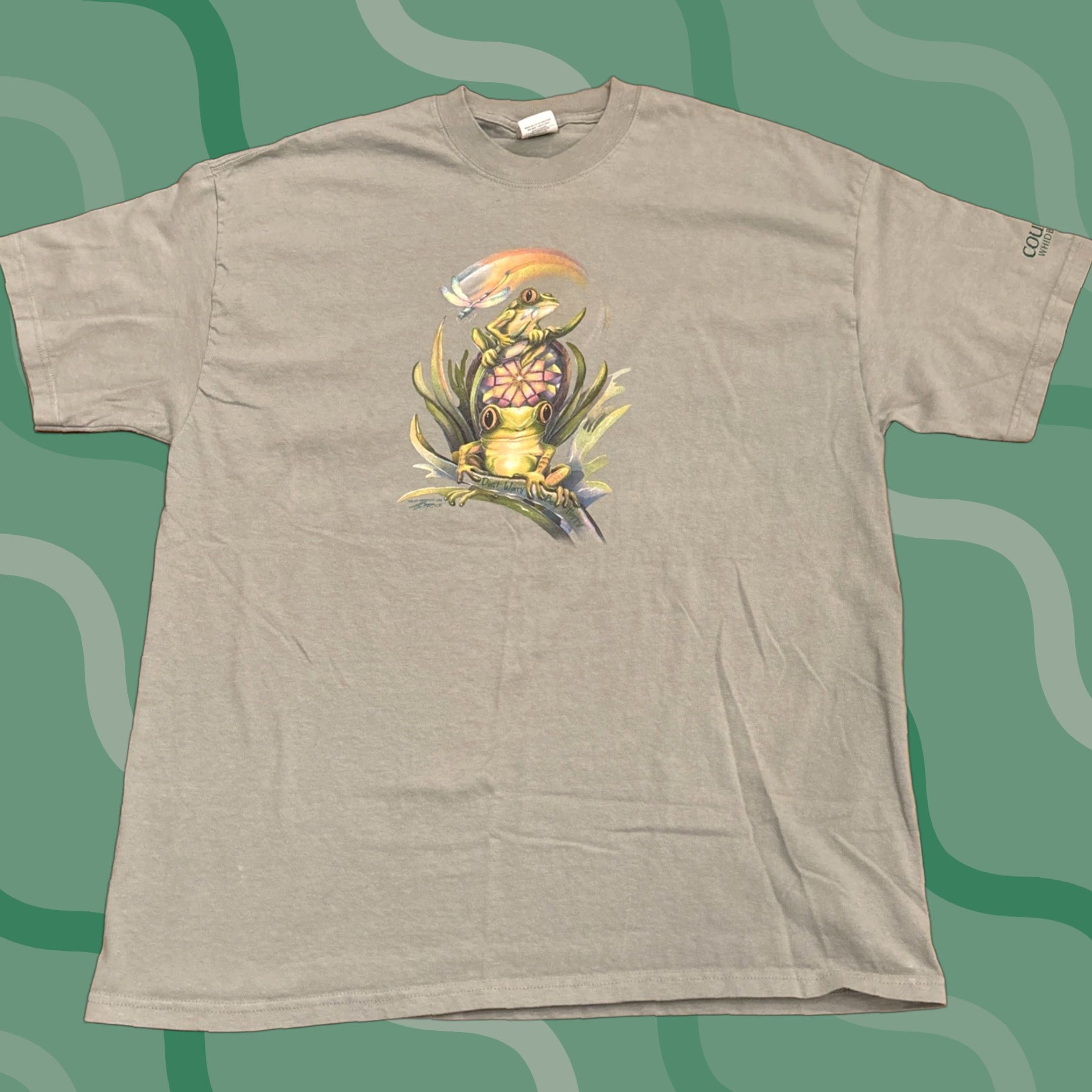 Vintage VINTAGE Hanes Beefy T Green Frog Dragonfly T-Shirt XL Coupeville WA Whidbey Island Unisex Adults Size US XL / EU 56 / 4 - 1 Thumbnail
