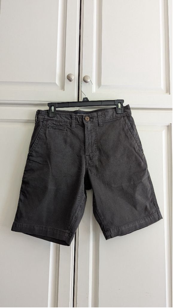 American Eagle Outfitters Men's American Eagle Classic Shorts Size 28 Gray Size US 28 / EU 44 - 1 Thumbnail