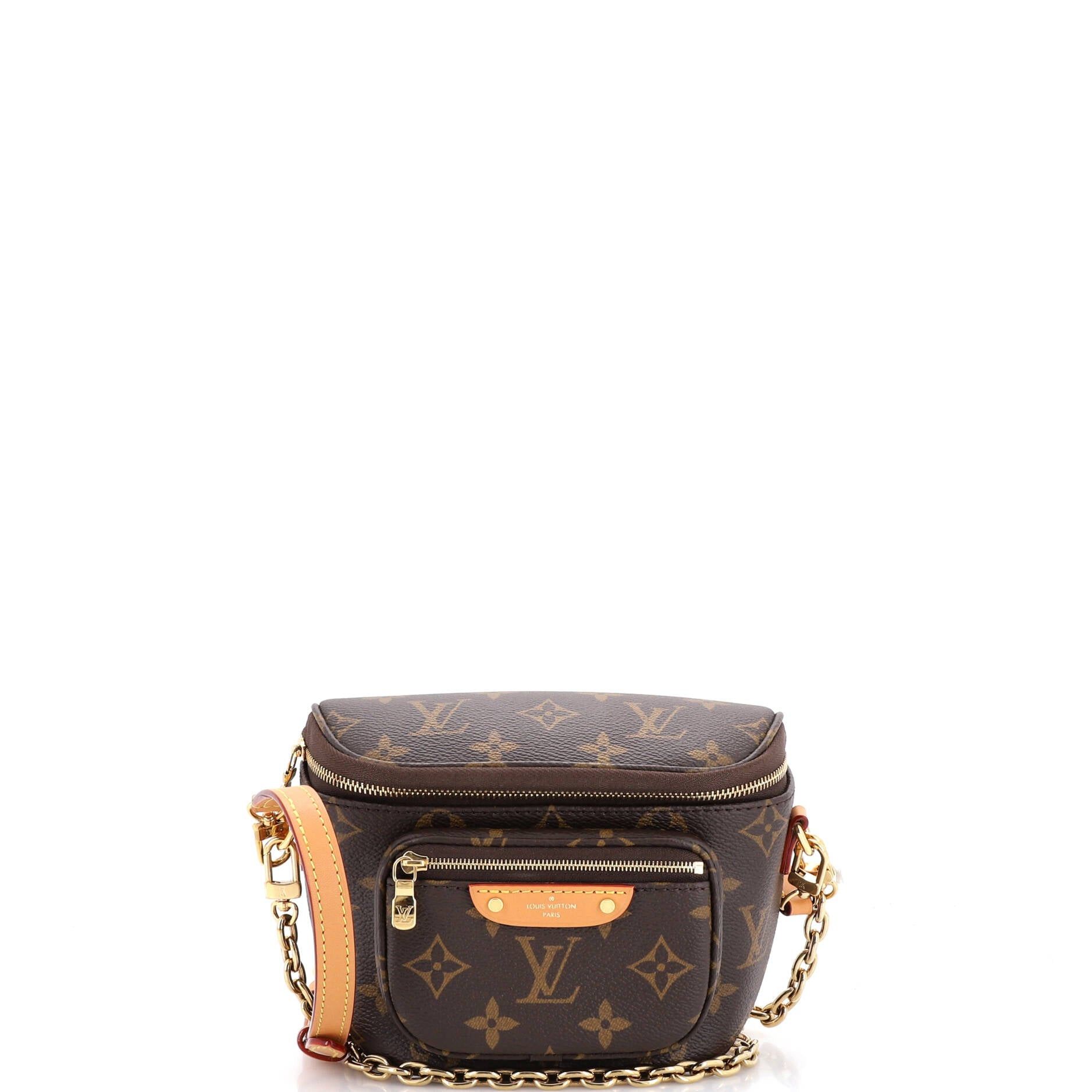 Louis Vuitton Bum Bag Size ONE SIZE - 1 Thumbnail