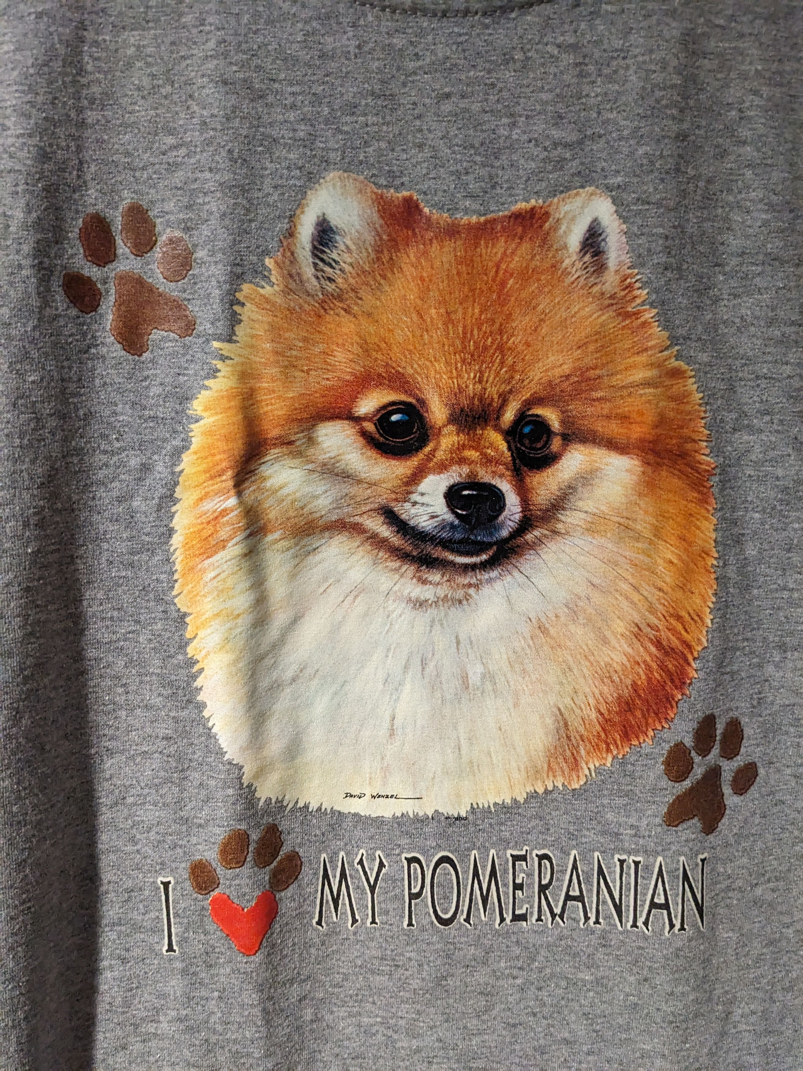 Vintage Vintage Y2K I Love My Pomeranian Nature Gray Large T-Shirt Size US L / EU 52-54 / 3 - 2 Thumbnail