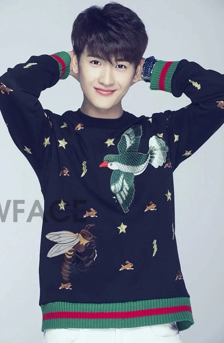 Gucci Gucci Bird and bee knitted sweater 2502-Nextarrow Size US S / EU 44-46 / 1 - 9 Thumbnail