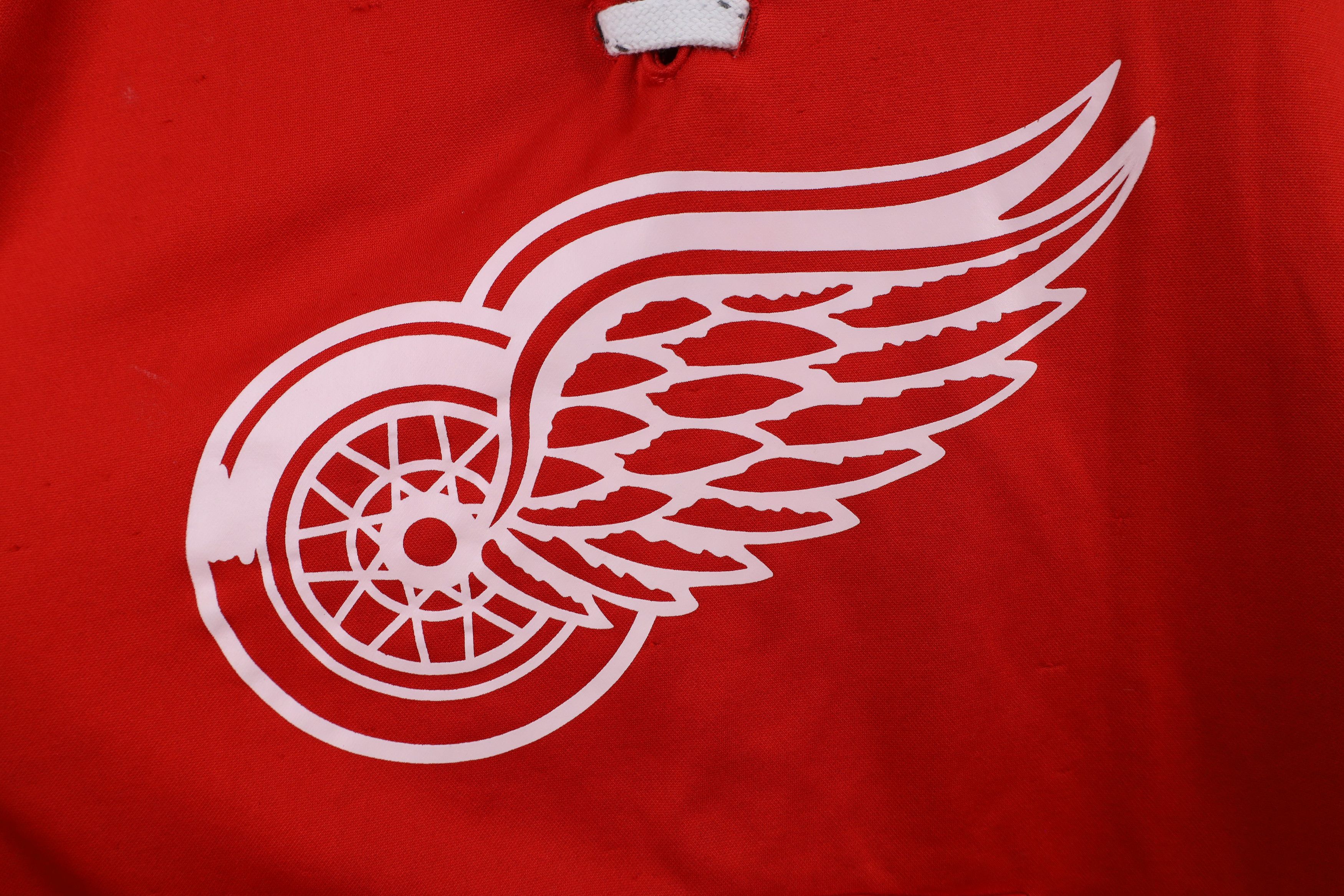Vintage Vintage Y2K NHL Detroit Red Wings Hockey Jersey Hoodie Red Size US L / EU 52-54 / 3 - 7 Thumbnail