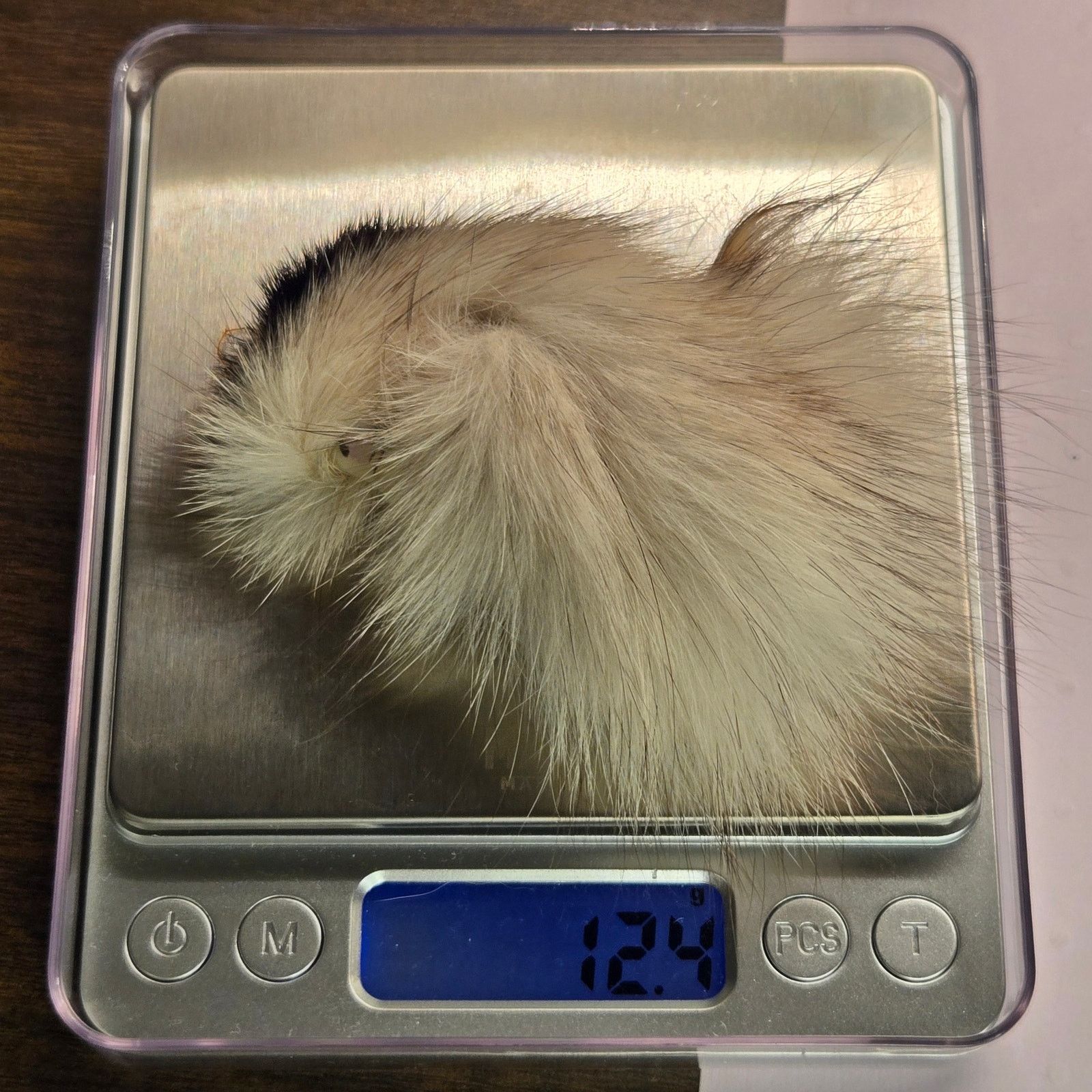 Vintage Vintage Art Deco Lady Brooch Real Mink Fur Pin Glamour Size ONE SIZE - 7 Thumbnail