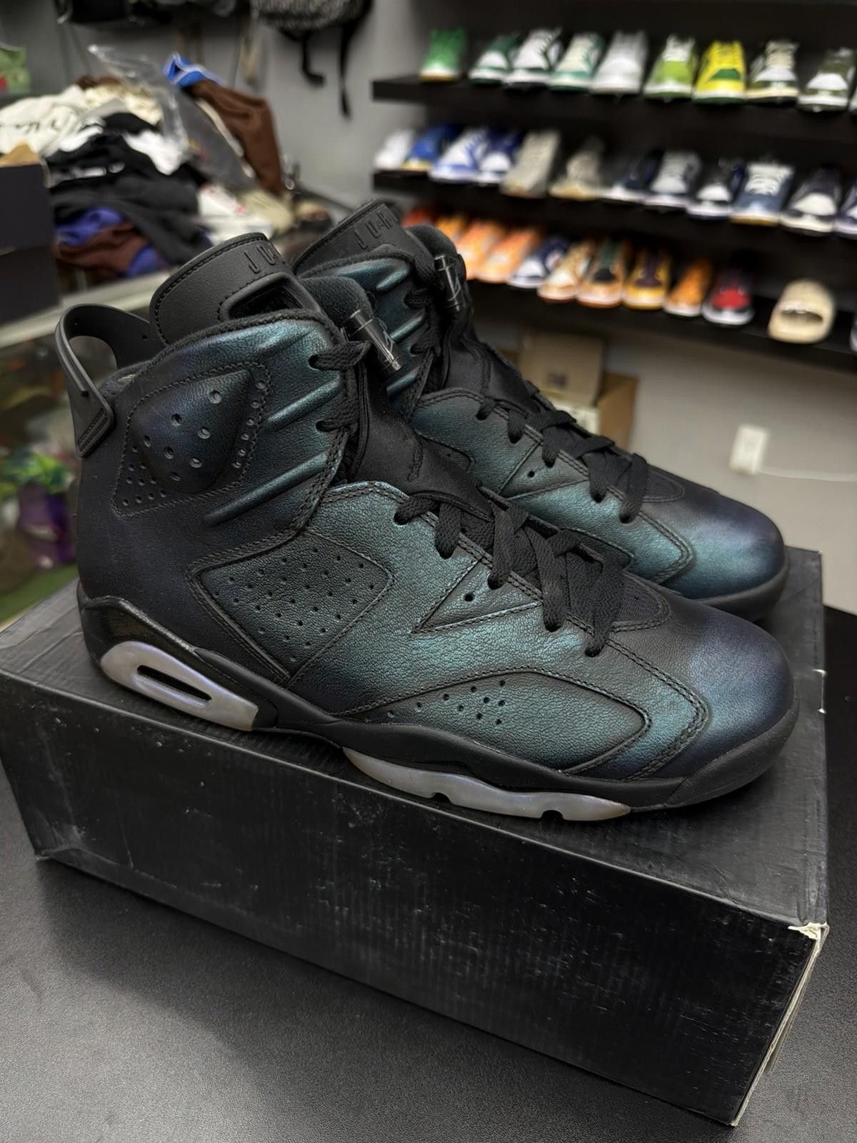 Jordan Brand Nike Air Jordan 6 All Star-Chameleon, Size 10 Brand New Size US 10 / EU 43 - 2 Thumbnail