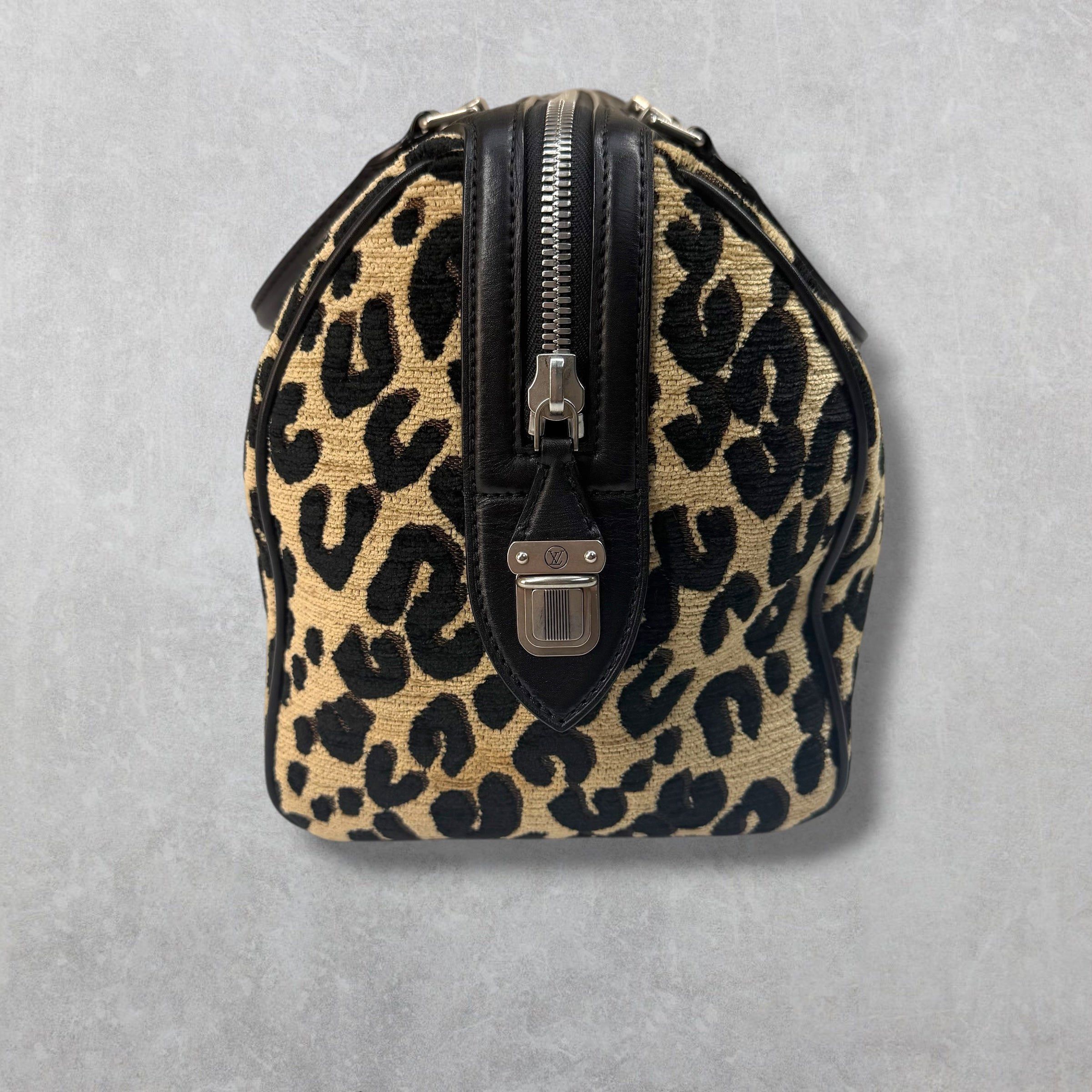 Louis Vuitton Louis Vuitton Stephen Sprouse Leopard Speedy 30 Size ONE SIZE - 5 Thumbnail