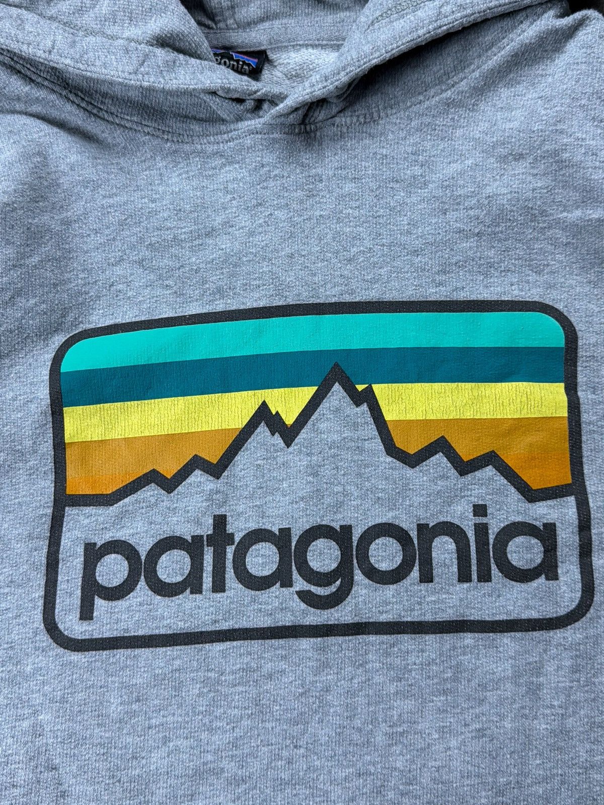 Patagonia Patagonia Hoodie Size US L / EU 52-54 / 3 - 5 Thumbnail