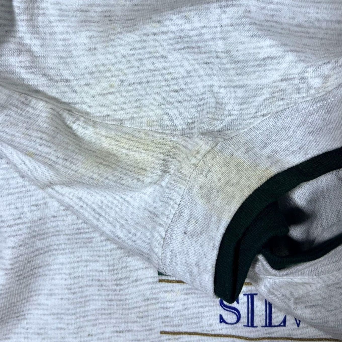 Vintage VINTAGE 90’s Silver Springs Alligator Souvenir Graphic Grey T-Shirt M L Shirt Mens Grey 90s Souvenir Spellout Graphic Size US L / EU 52-54 / 3 - 5 Thumbnail