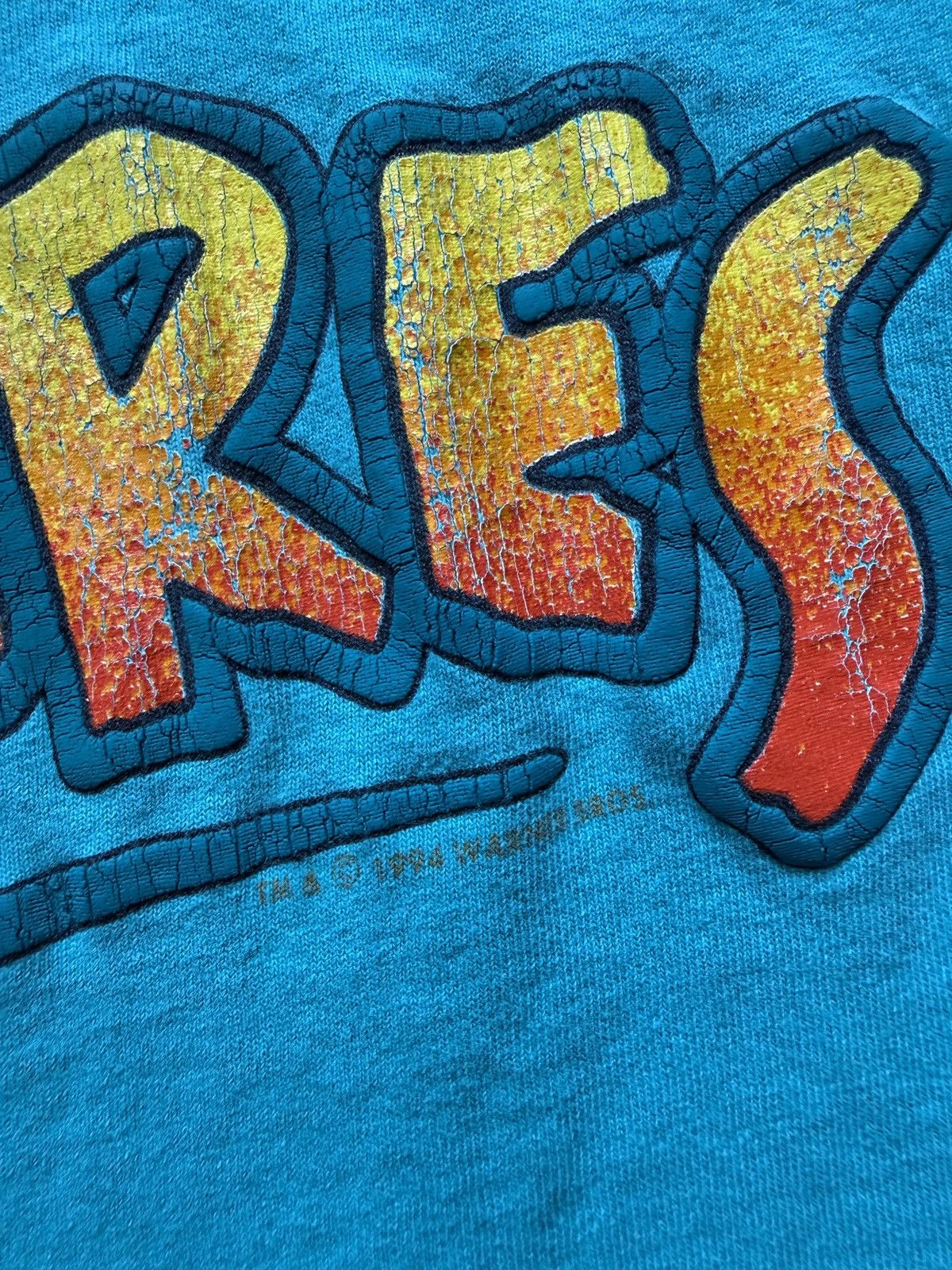 Vintage Vintage 90s Tweety Bird Looney Tunes No Cares Graphic Tee Size US L / EU 52-54 / 3 - 4 Thumbnail