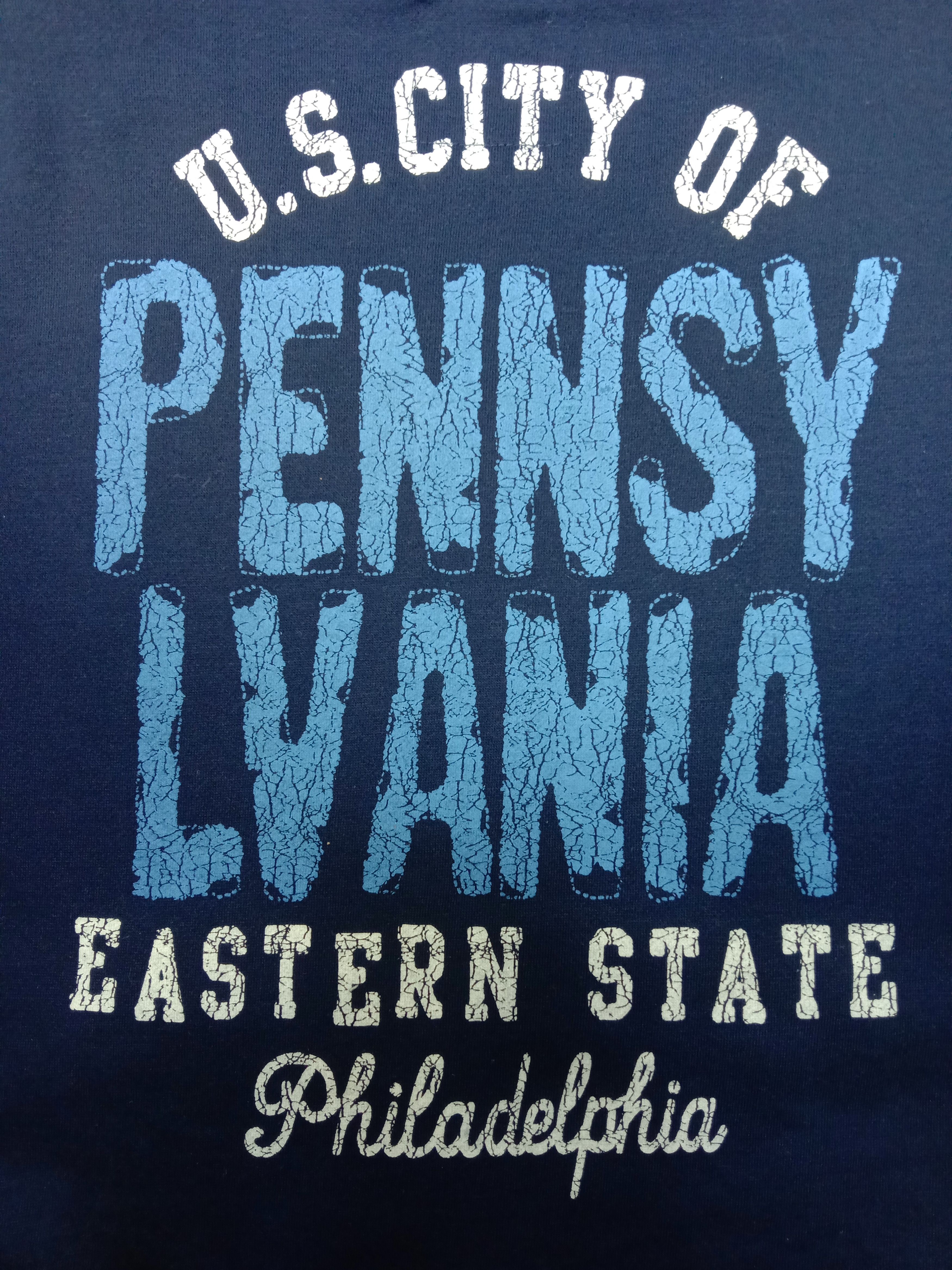 Japanese Brand Vintage Eastern State Philadelphia Hoodie Sweatshirt Size US L / EU 52-54 / 3 - 8 Thumbnail