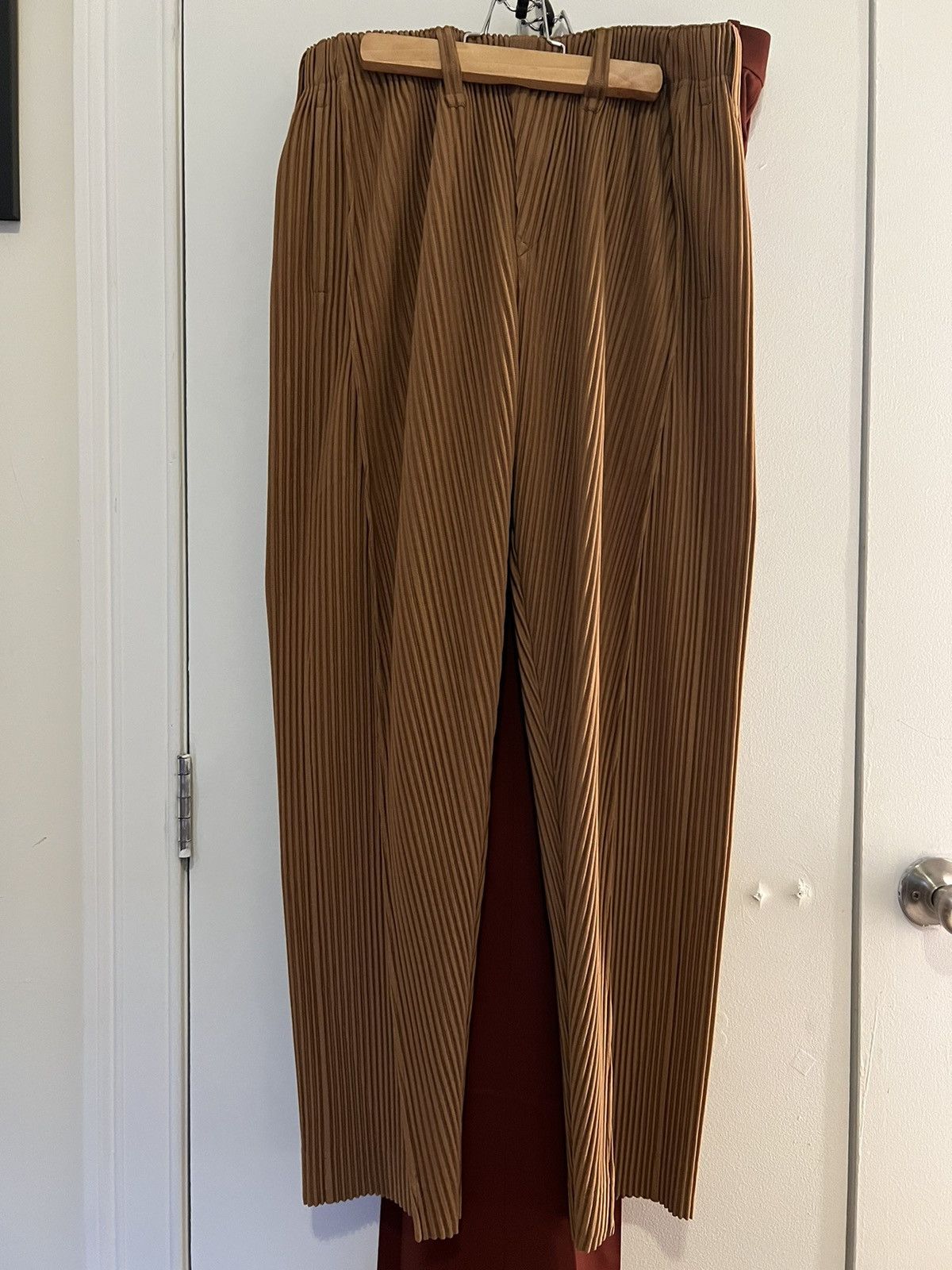 Homme Plisse Issey Miyake JF173 Oblique Pleated Pants in Brown sz 2 |  Grailed