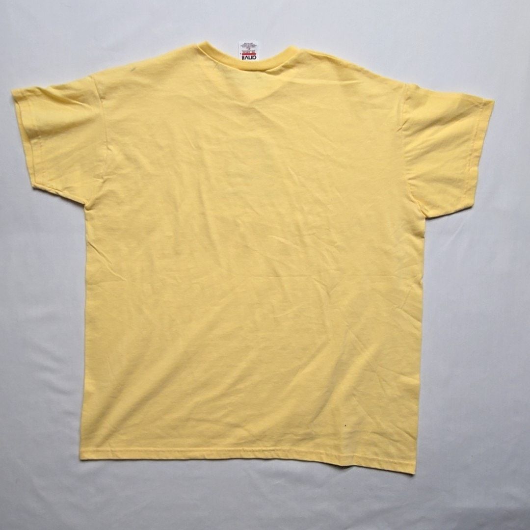 Anvil Vintage Pigeon Forge Tennessee Tee Yellow Floral XL Shirt Size US XL / EU 56 / 4 - 4 Thumbnail
