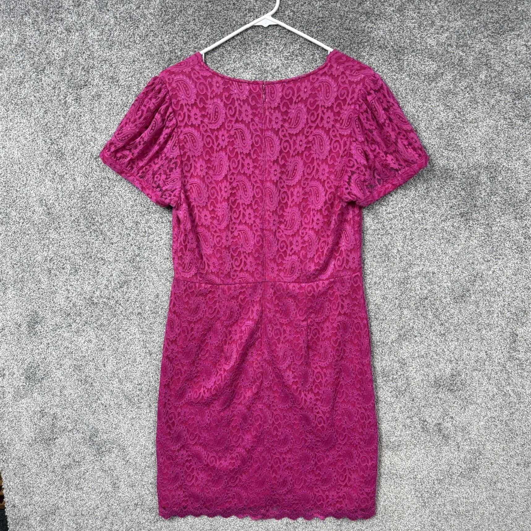 Ann Taylor Factory Dress 10 Pink Lace Sheath Knee Length V-Neck Flutter  Sleeve Party Wedding Womens - barnbuds.com