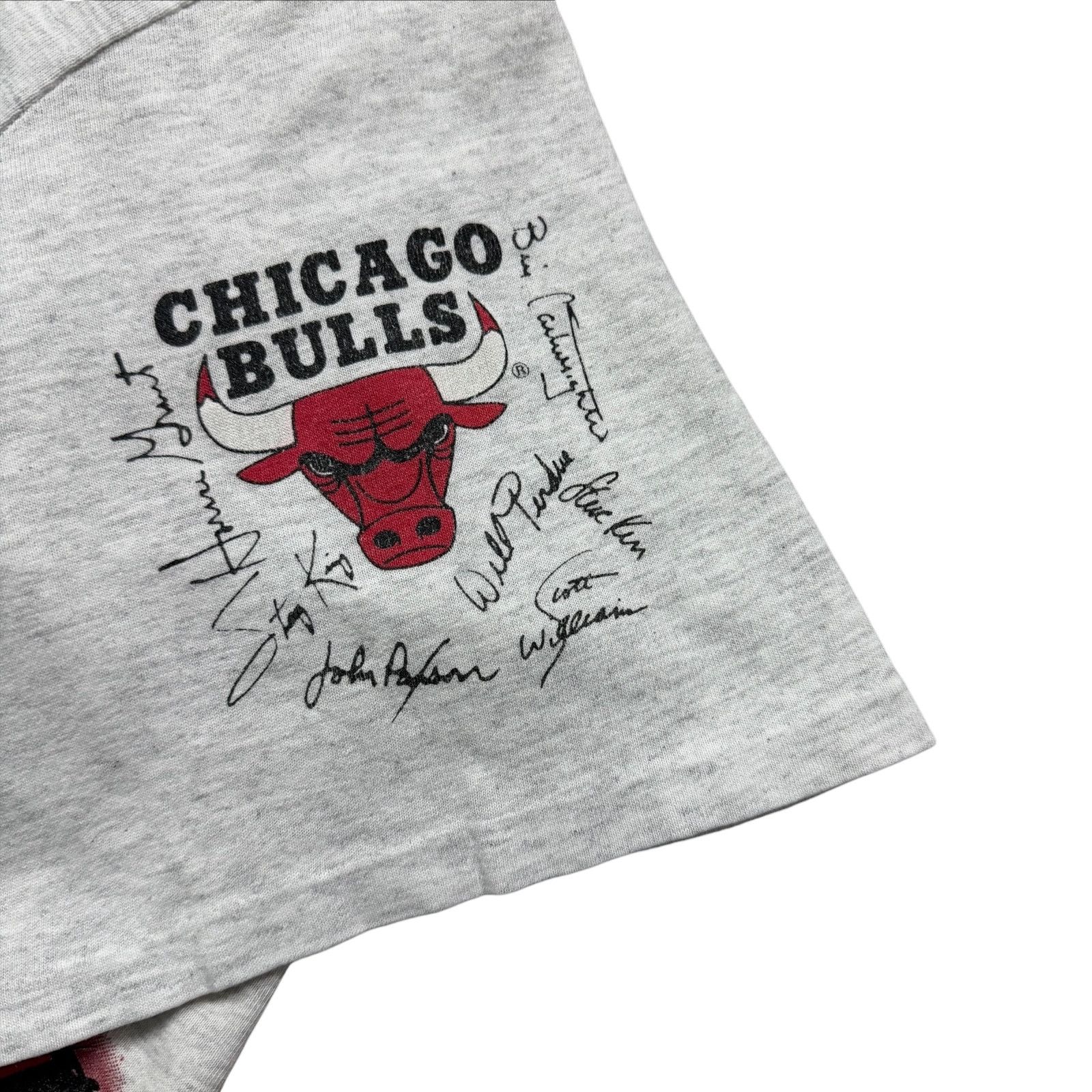 NBA RARE VTG 90s CHICAGO BULLS SUPERHERO CHANGES T-SHIRT Size US L / EU 52-54 / 3 - 6 Thumbnail