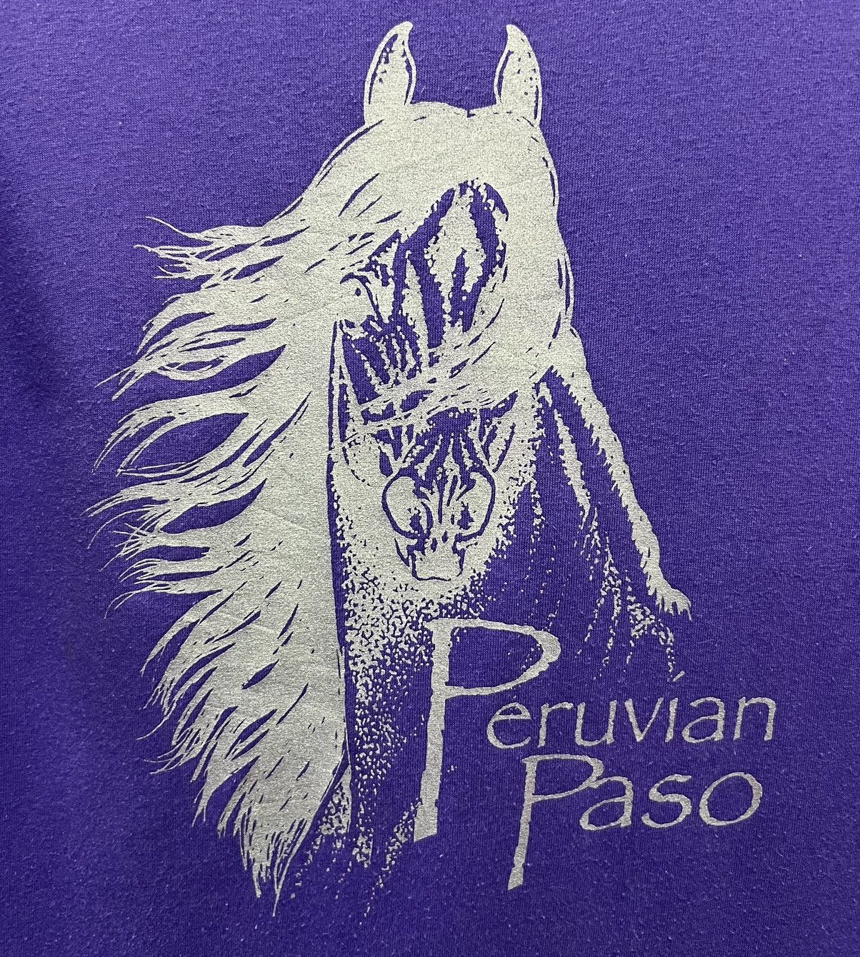 Hanes × Vintage VINTAGE PERUVIAN PASO HANES SHIRT Size US M / EU 48-50 / 2 - 3 Thumbnail