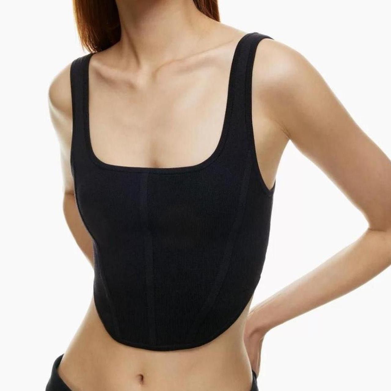Aritzia Babaton corset ribbed tank Size L / US 10 / IT 46 - 2 Thumbnail