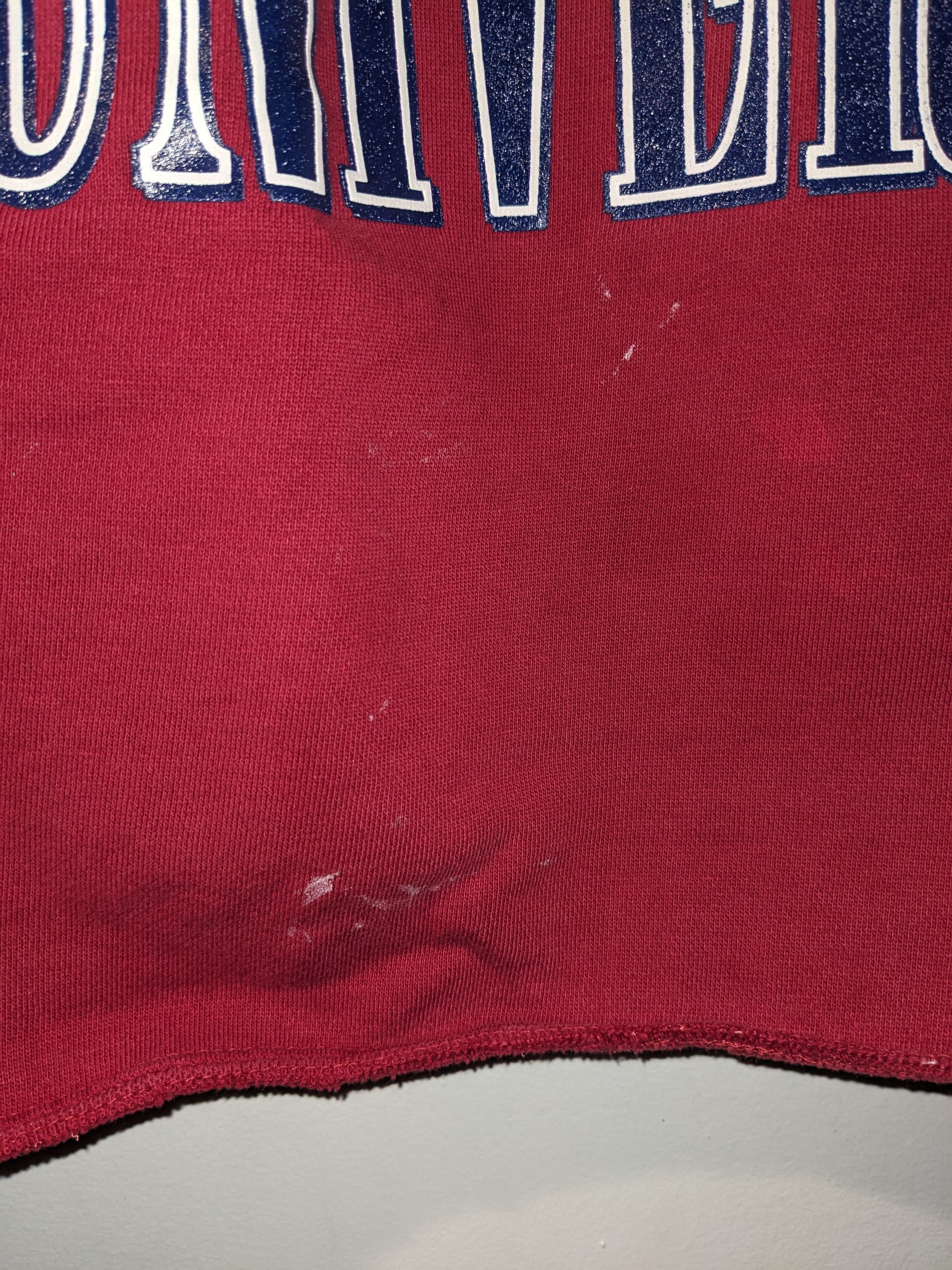 Vintage Vintage 90s Bloomsburg University College Sports Sweatshirt Size US L / EU 52-54 / 3 - 6 Thumbnail