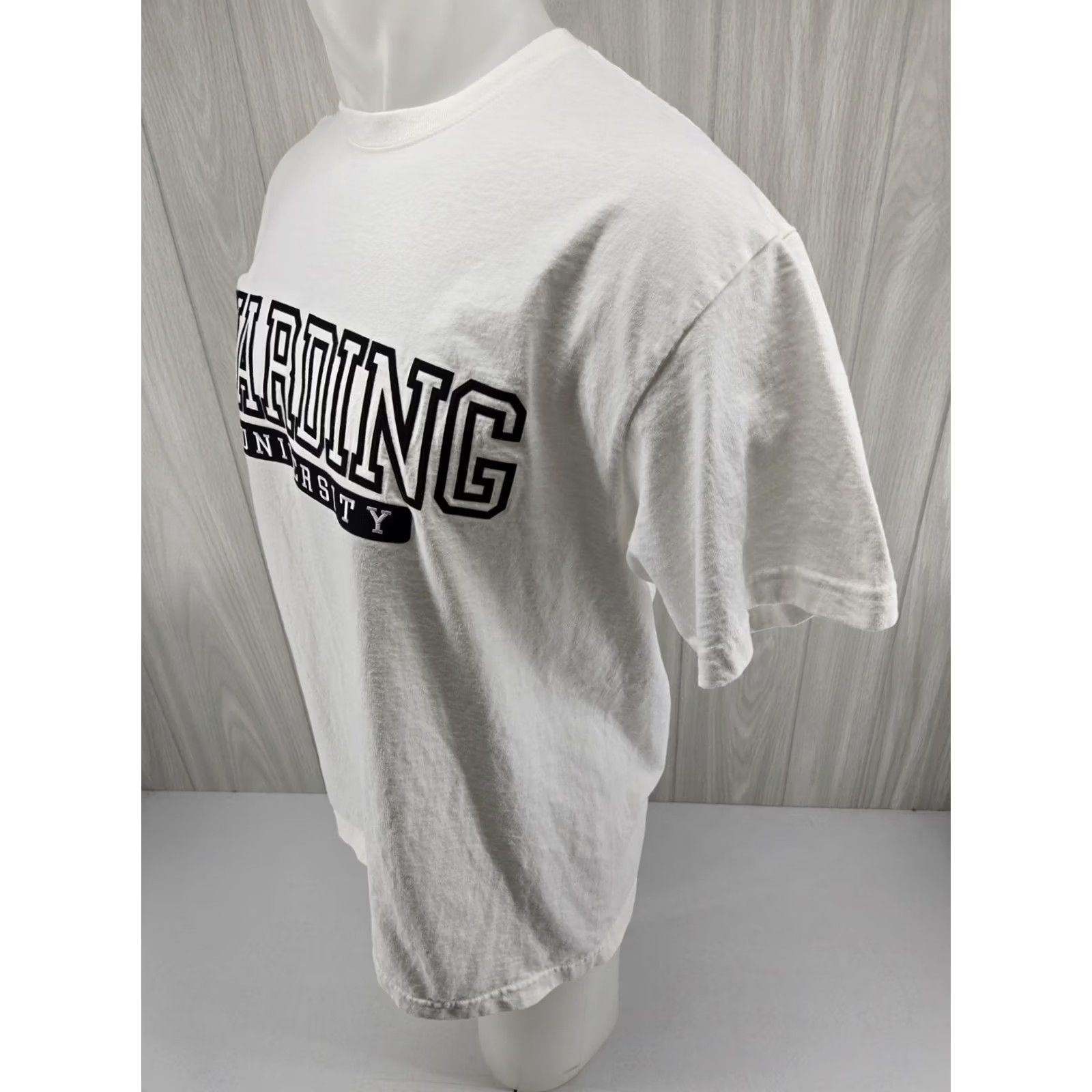 Jansport Harding University White T-Shirt Size Large Mens T-Shirt Cotton Crew Neck Short Sleeve Size US L / EU 52-54 / 3 - 5 Thumbnail