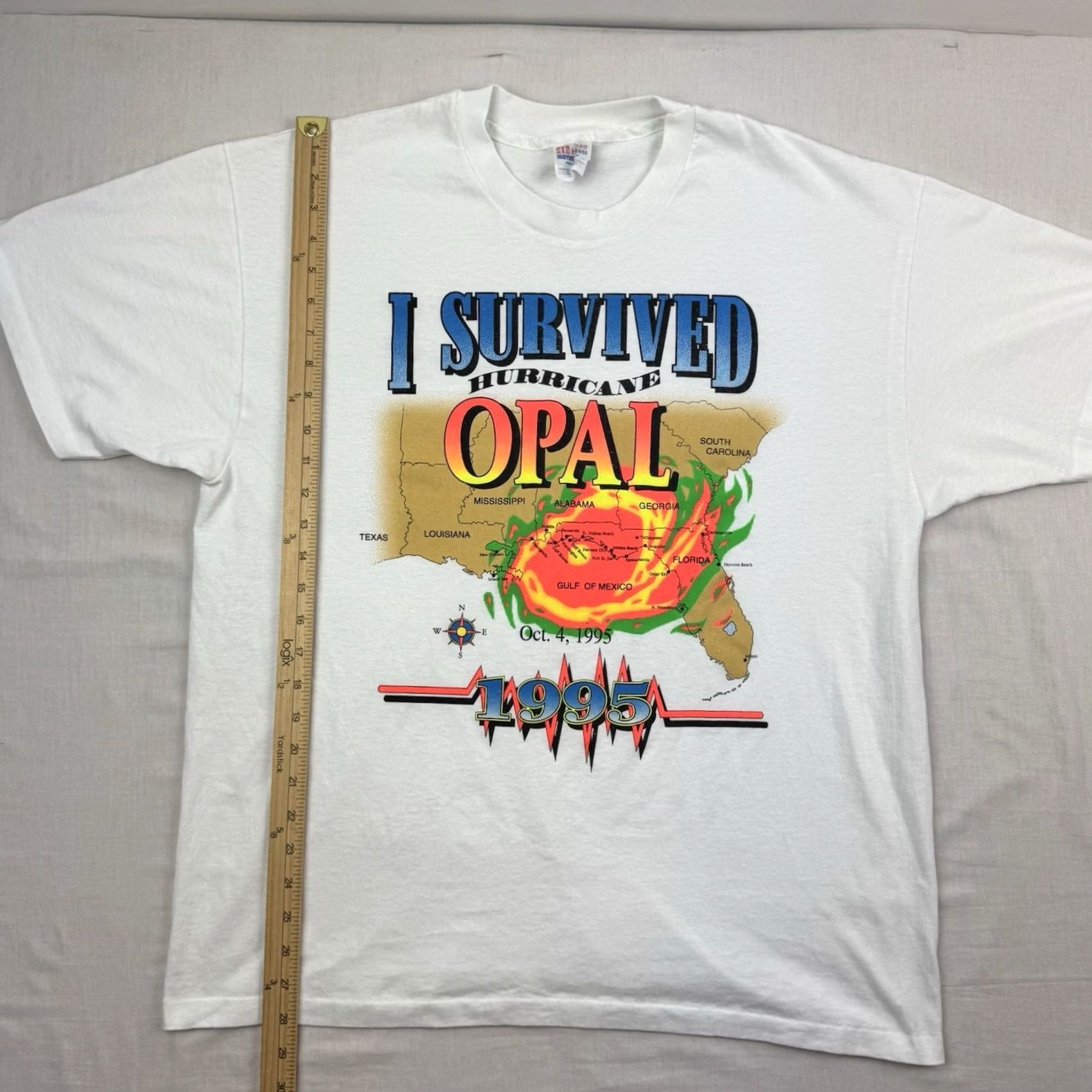 Hanes Vintage Hanes T-Shirt Opal White I Survived Storm 1995 Outdoor 90s Mens XL Crew Neck Short Sleeve Cotton Polyester Regular Weather Nature Shirt Size US XL / EU 56 / 4 - 7 Thumbnail