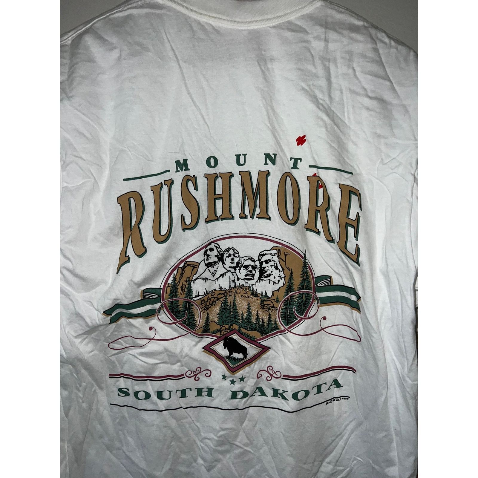 Jerzees Vintage National Park Shirt Test Print Grand Teton Large Size US L / EU 52-54 / 3 - 8 Thumbnail