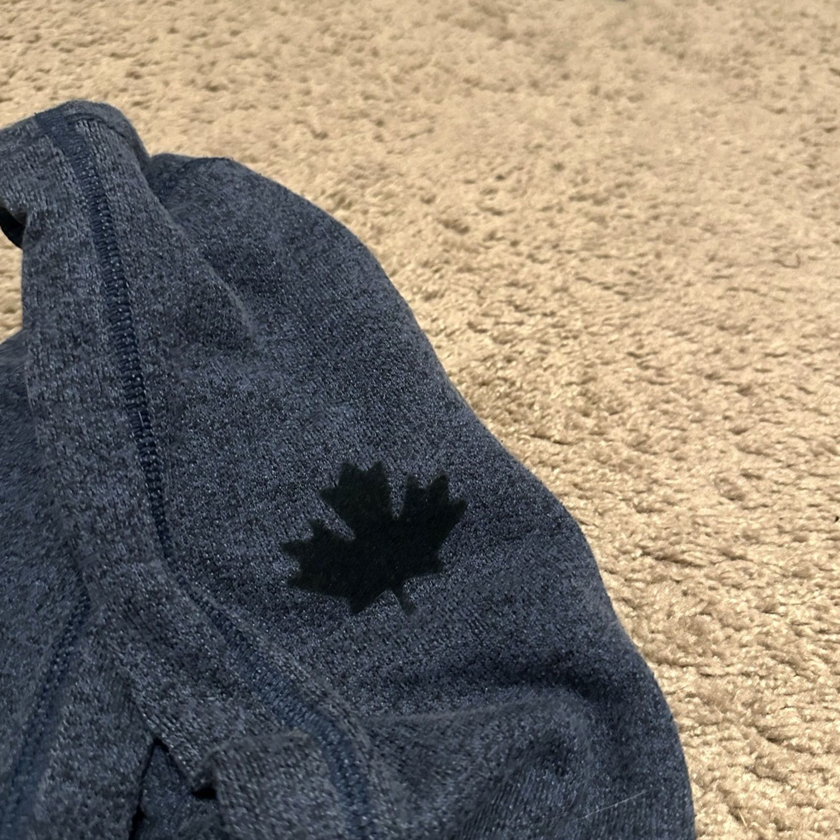Roots Root Canada Hoodie Mens Large Athletic Graphic Print Beaver Logo Blue Pullover Hooded Sleeves Pockets Size US L / EU 52-54 / 3 - 4 Thumbnail