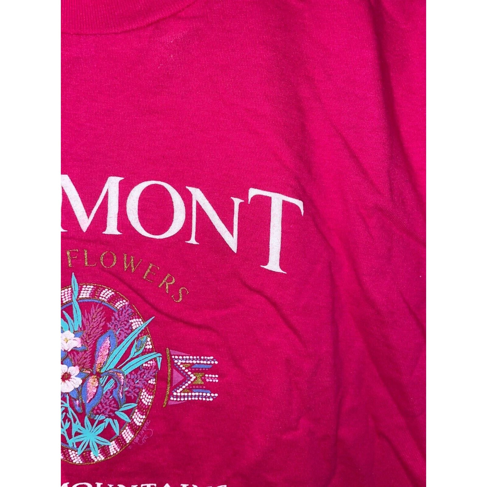Jerzees Vintage Vermont Shirt Green Mountains Pink Tee 90s VTG Large Size US L / EU 52-54 / 3 - 5 Thumbnail