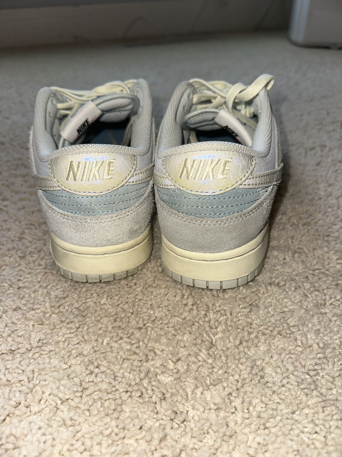 Nike dunks beaverton fish