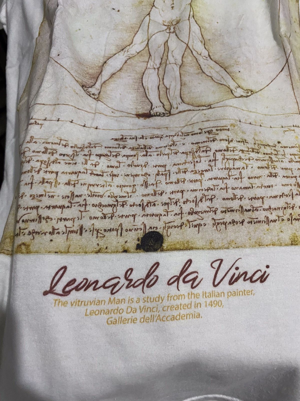 Gildan The vitruvian man leonardo da vinci tee Size US M / EU 48-50 / 2 - 4 Thumbnail