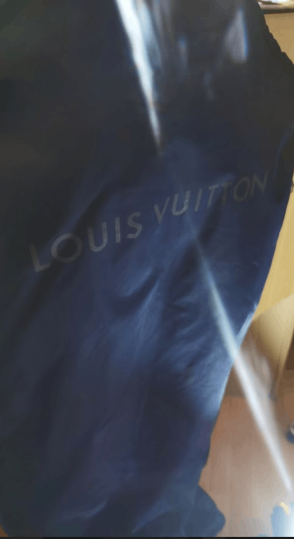 Louis Vuitton Louis Vuitton Parka with zipper and hood Size 50 Size US M / EU 48-50 / 2 - 10 Thumbnail