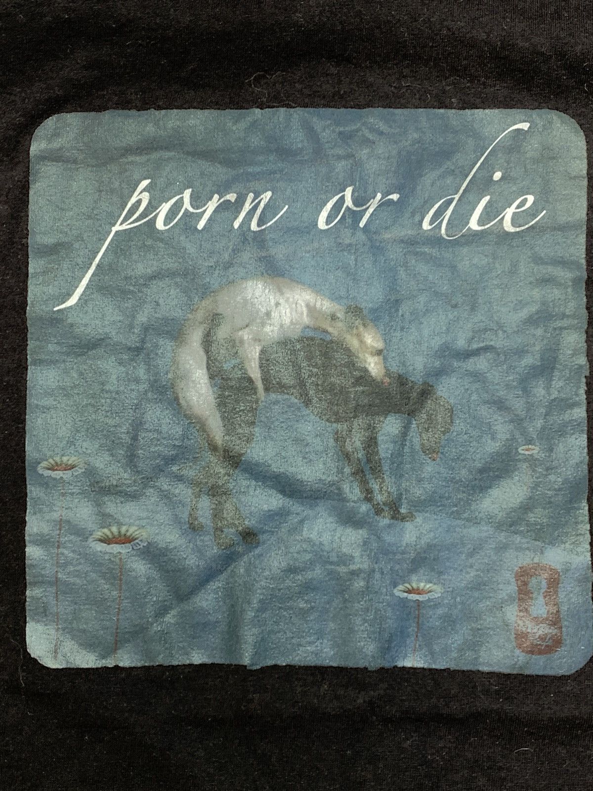 Vintage Vintage Y2K “ Porn or die “humour tee big logo size S Size US S / EU 44-46 / 1 - 4 Thumbnail