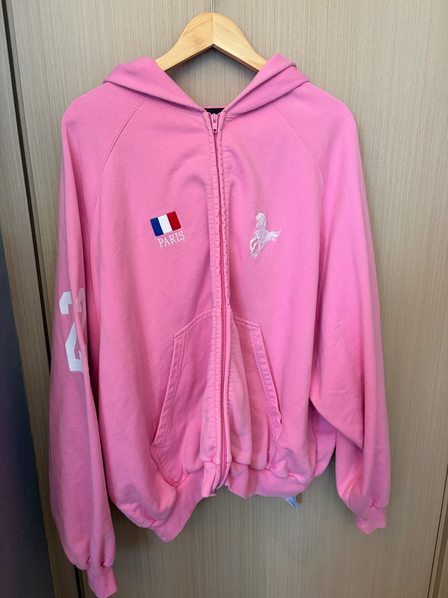 Balenciaga Balenciaga Pink Horse Logo Hooded Jacket Size L / US 10 / IT 46 - 1 Thumbnail