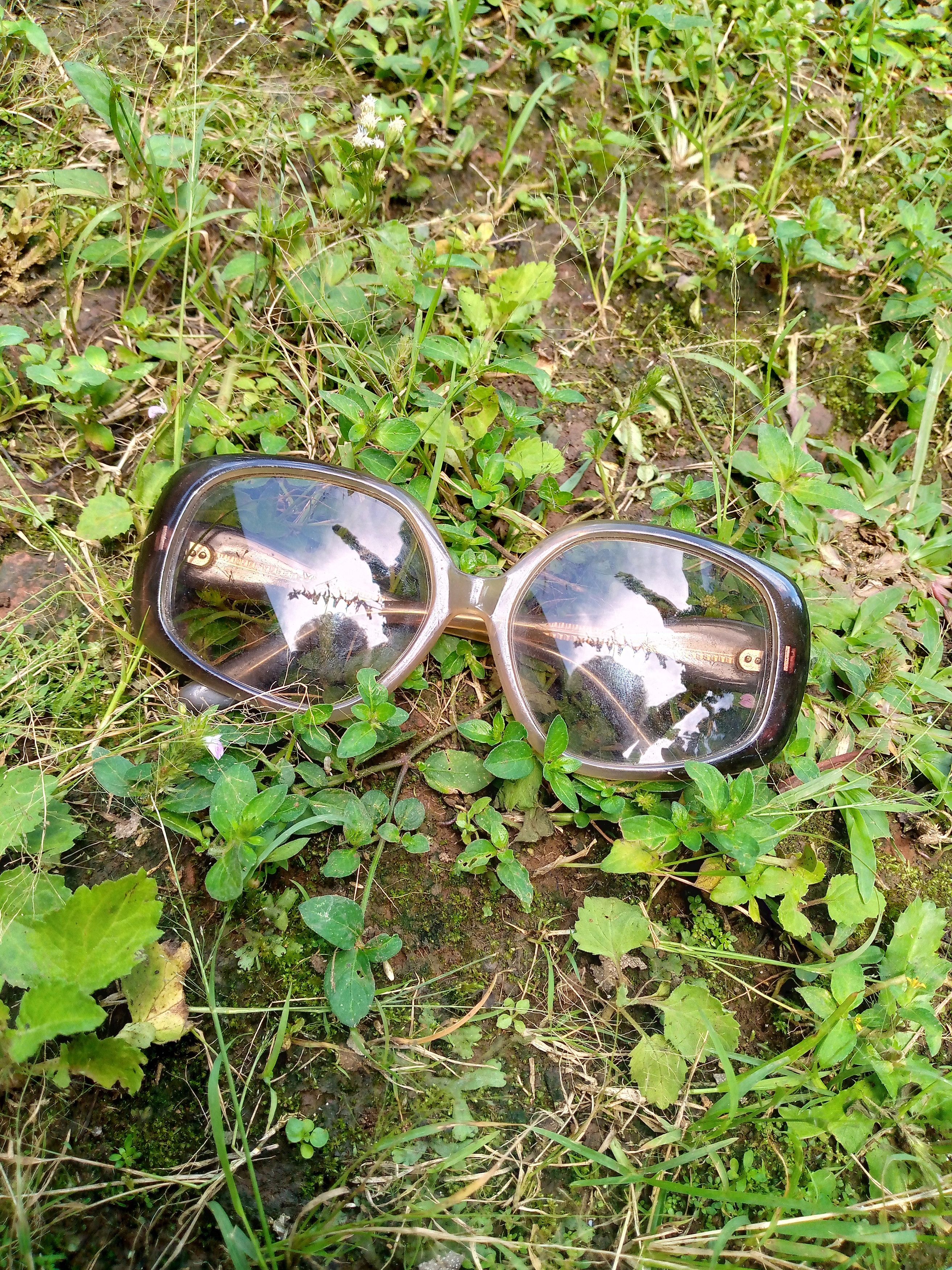 70s Polar Sunglasses Tortoise