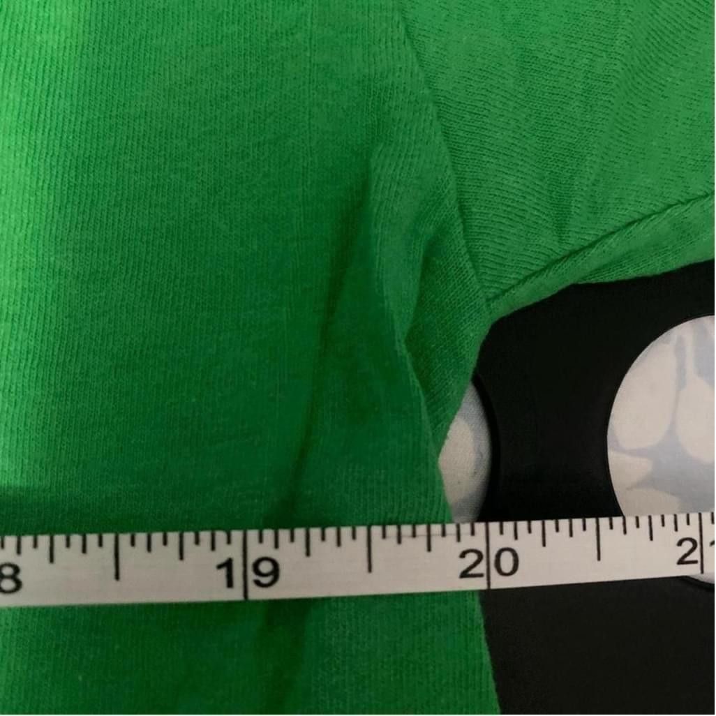 Fruit Of The Loom Vintage fruit of the loom shirt “this is my only green shirt Size US L / EU 52-54 / 3 - 5 Thumbnail