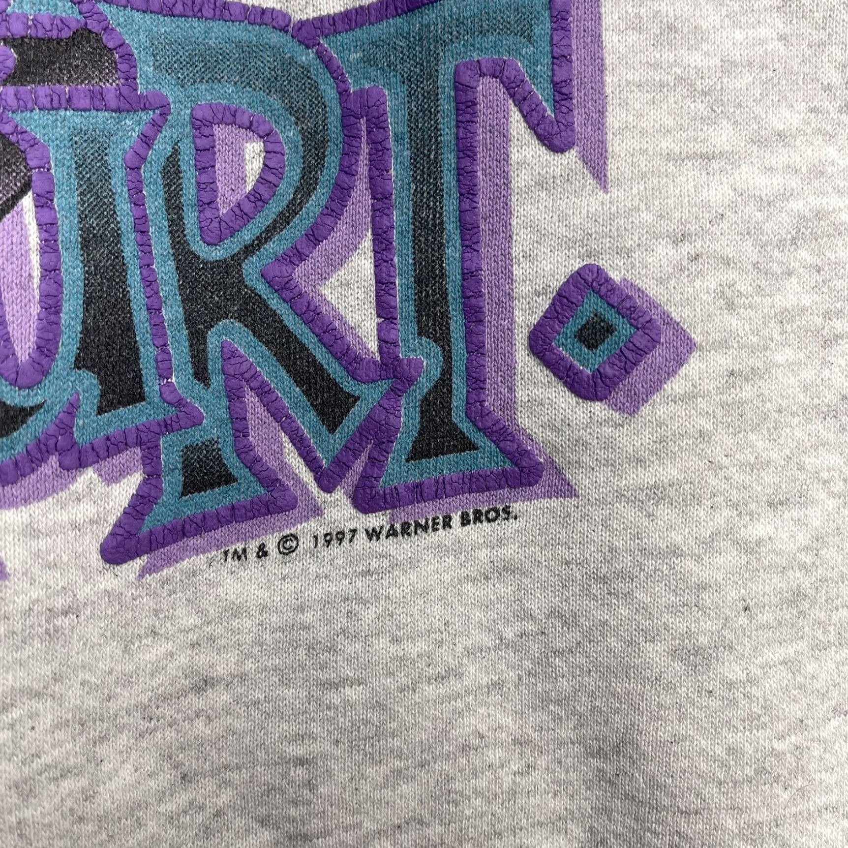 Vintage Vintage Warner Bros Sweatshirt Tweety Bird Mens Large Gray Ooow I Bet That Hurt 90s Size US L / EU 52-54 / 3 - 3 Thumbnail