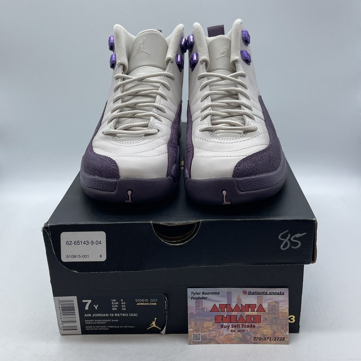 Air Jordan 12 pro purple