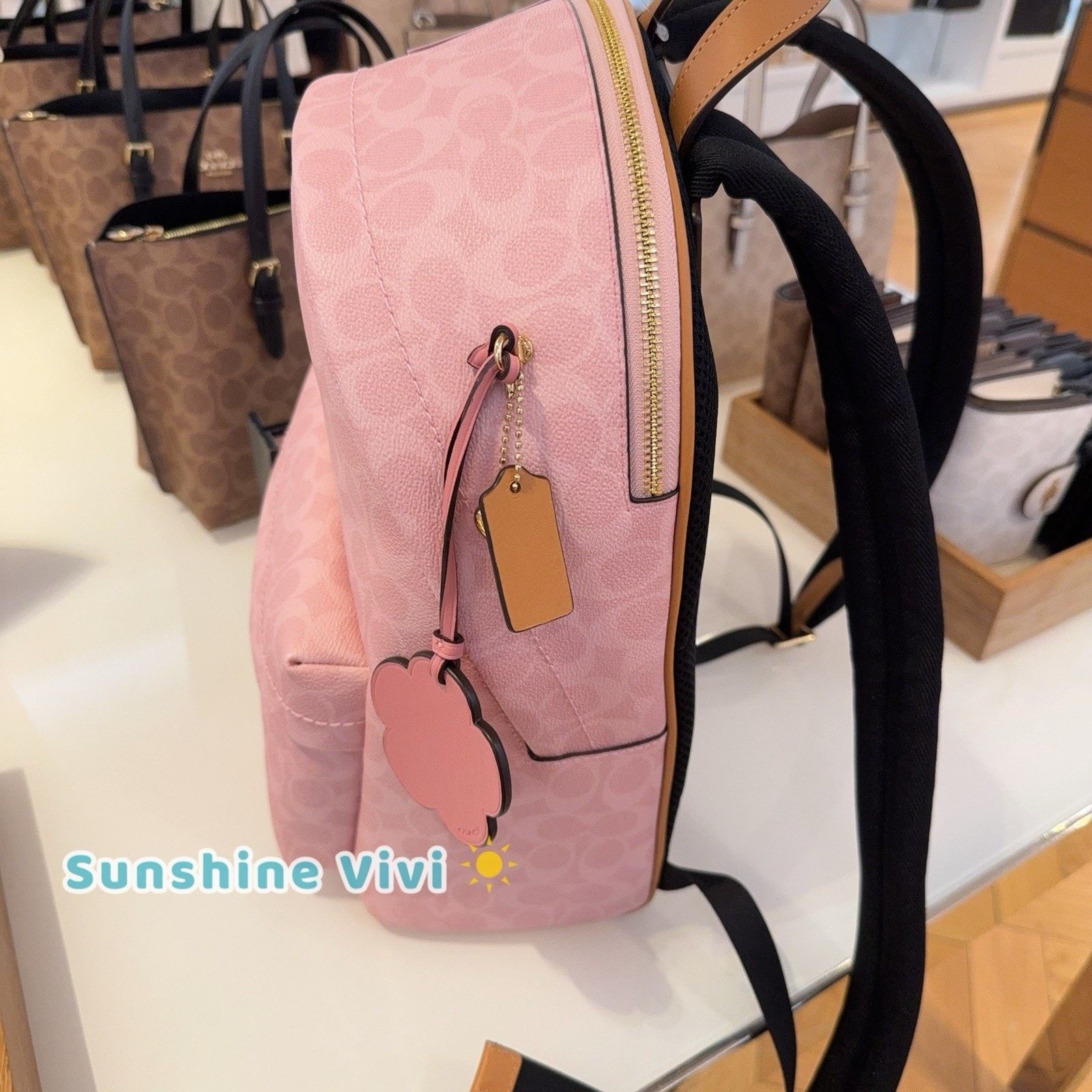 Coach NWT Coach CEF46 Taylor Small Backpack Charms Powder pink Size ONE SIZE - 7 Thumbnail
