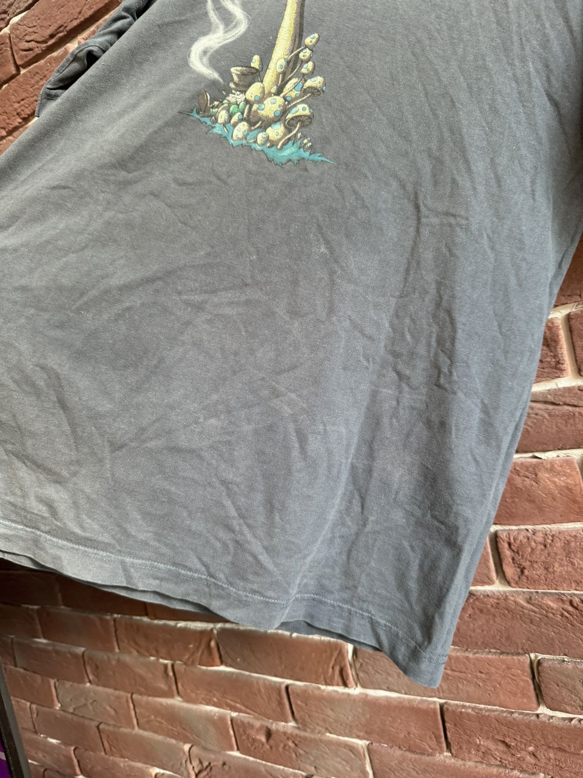 Hook-Ups Vintage Shrooms Skateboard Boxy Baggy Streetwear 90s T-Shirt Size US M / EU 48-50 / 2 - 4 Thumbnail