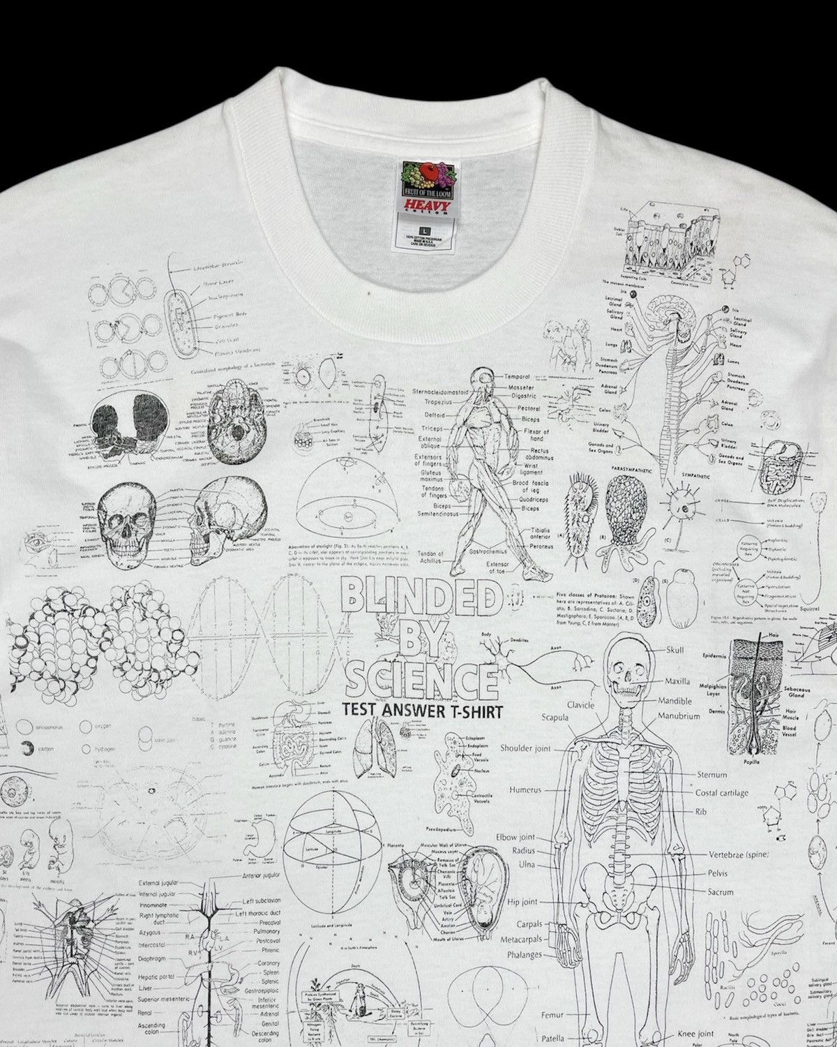 Vintage 1990s Blinded by Science Test Answer Anatomy Tee Size US M / EU 48-50 / 2 - 3 Thumbnail