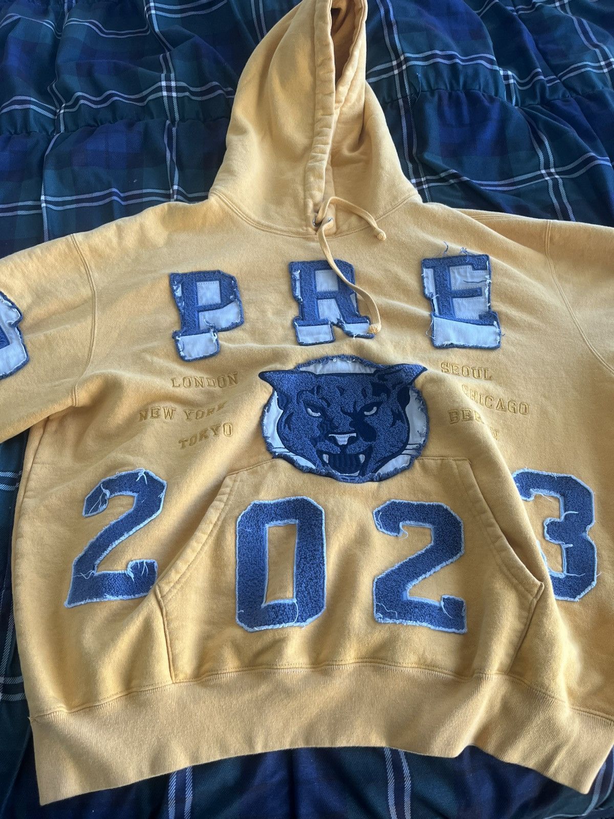 Supreme Supreme Washed Panther Hooded Sweatshirt | Grailed