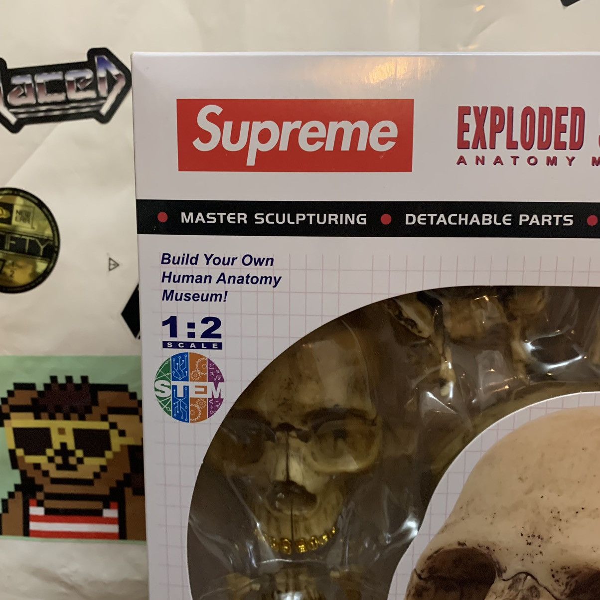 Supreme Supreme 4D Model Human Skull | Grailed