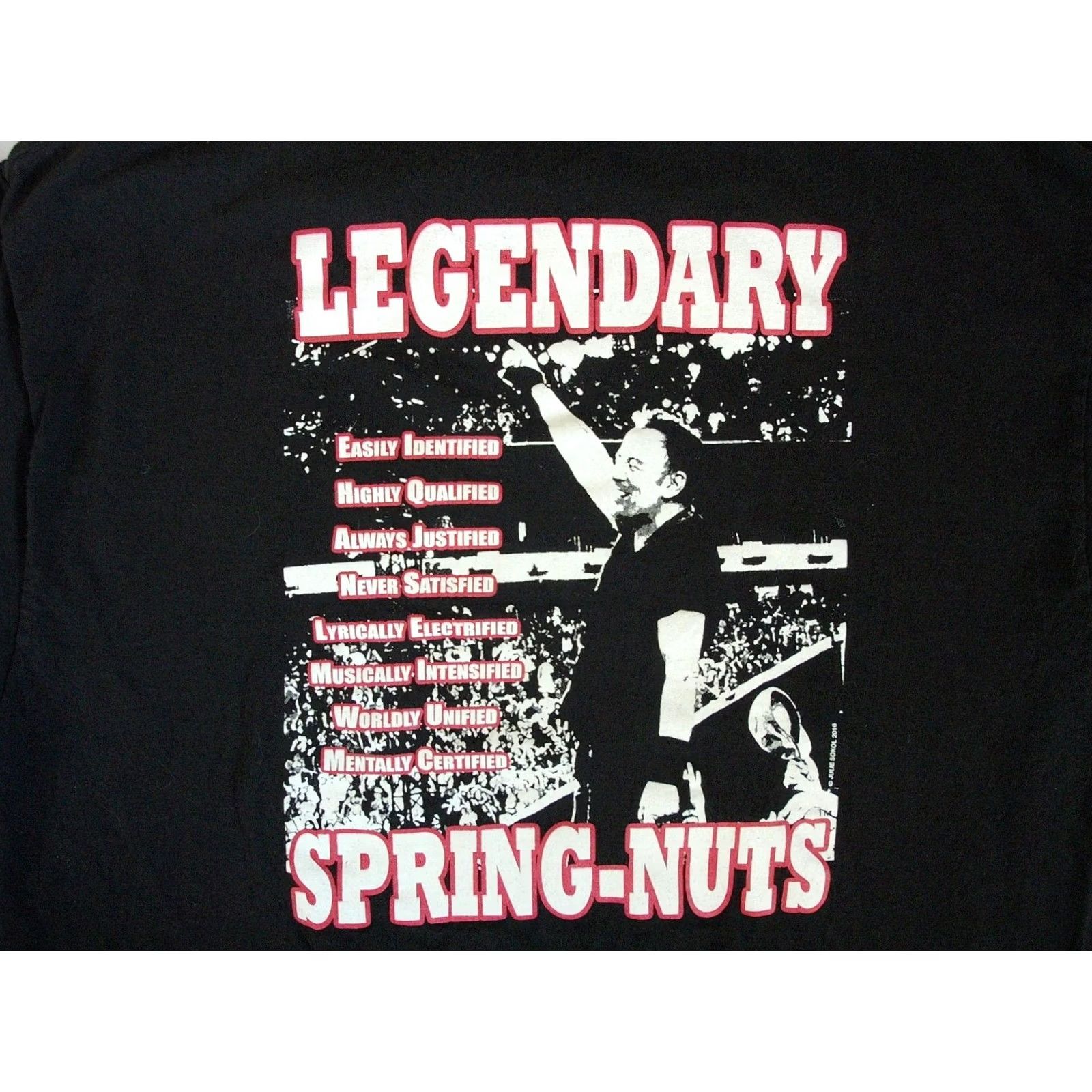 Gildan Bruce Springsteen Legendary SPRING-NUTS Fan Club T Shirt Mens LRG Rock The Boss Black Cotton Gildan Short Sleeve Crew Neck 2010-2019 Vintage No Size US L / EU 52-54 / 3 - 2 Thumbnail