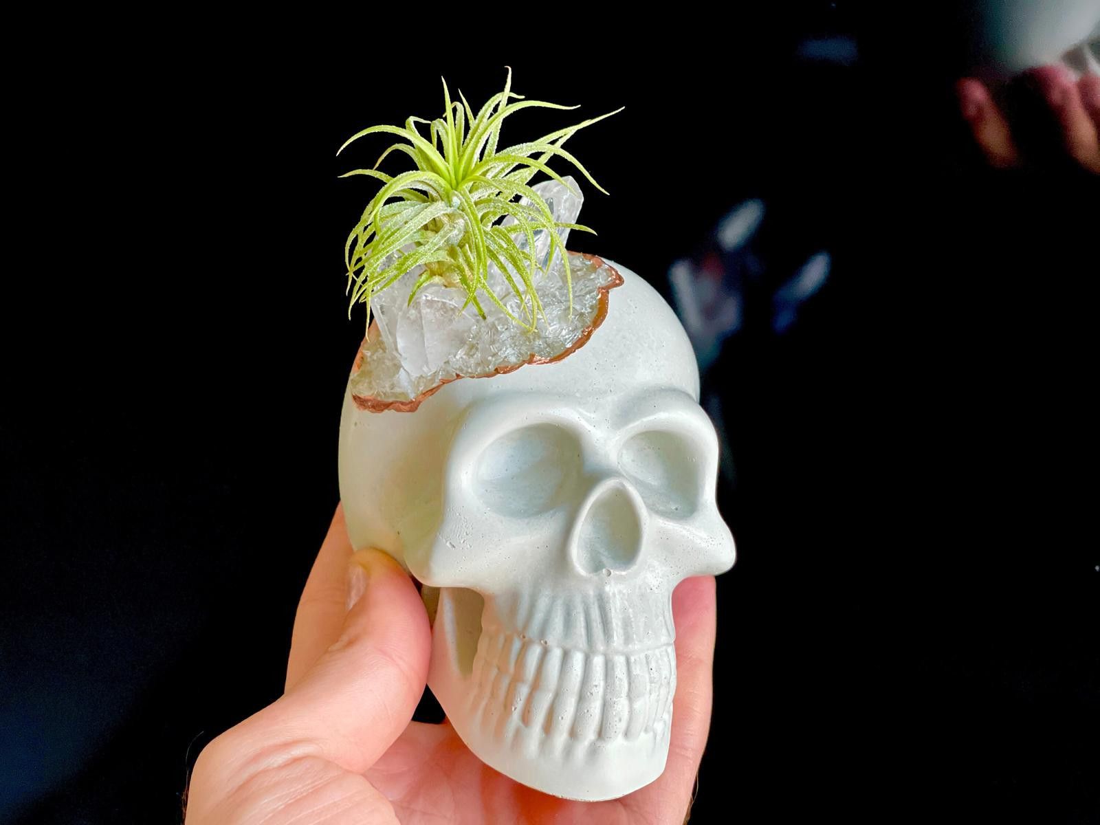 Other Big Clear Quartz Skull Head | Cluster Carved Crystals Lover Size ONE SIZE - 5 Thumbnail