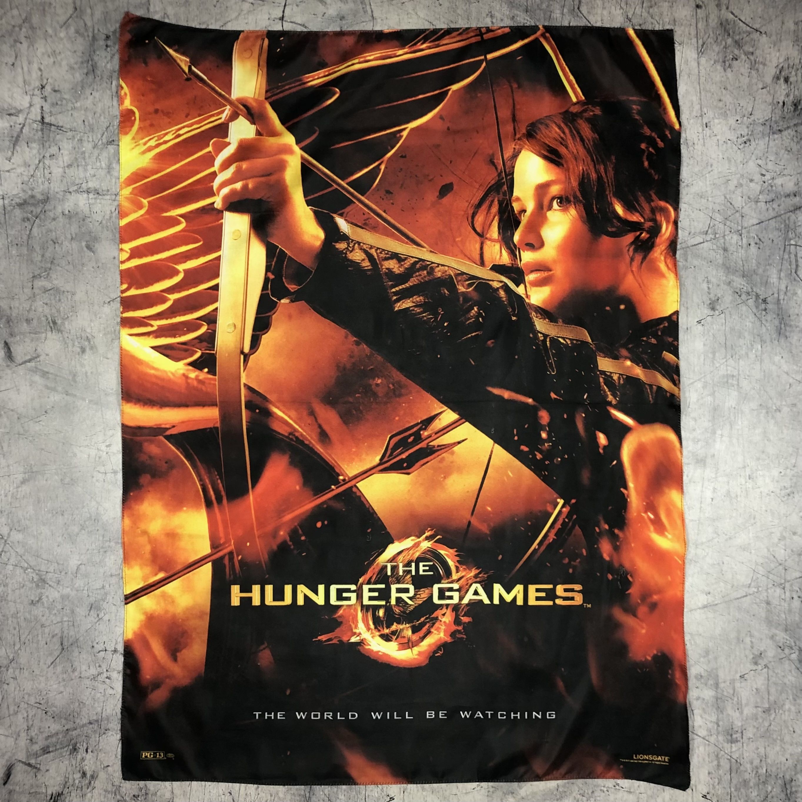 Expert Horror 2012 Hunger Games Dystopian Flag Poster Size ONE SIZE - 2 Thumbnail