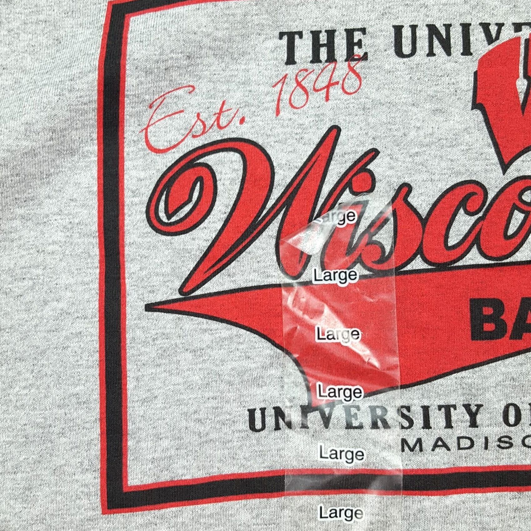 NCAA VINTAGE Wisconsin Badgers T-Shirt Mens Large Gray University NCAA College retro 90s athletic School Graphic Print Spike Sports Size US L / EU 52-54 / 3 - 4 Thumbnail